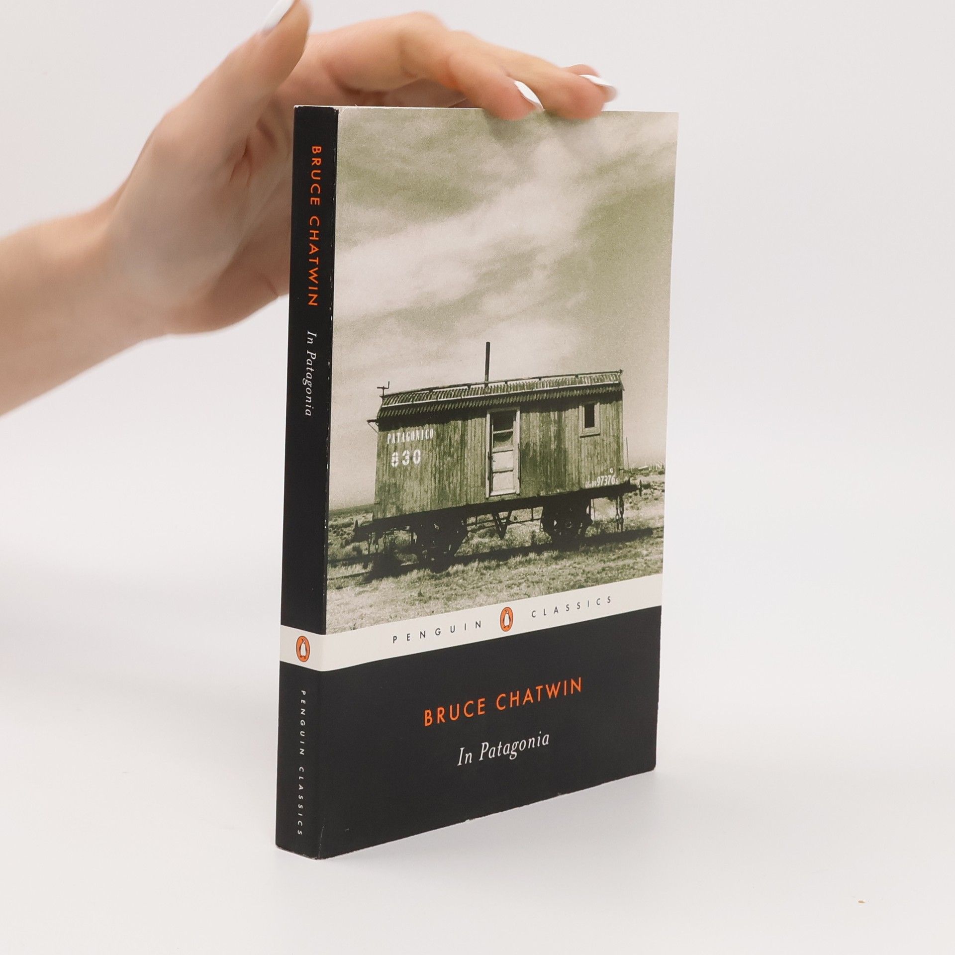 Bruce Chatwin In Patagonia