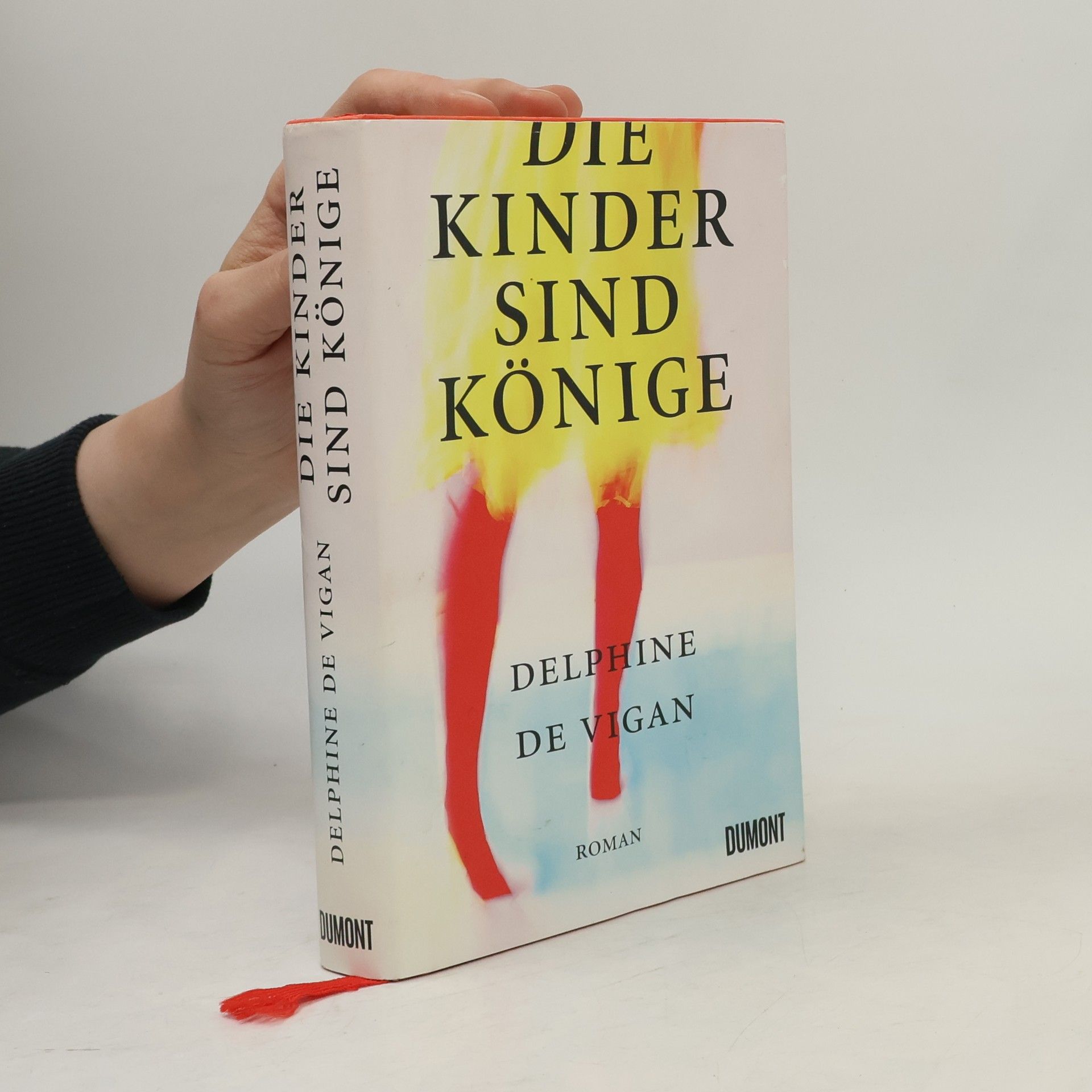 Delphine de Vigan Die Kinder sind Könige