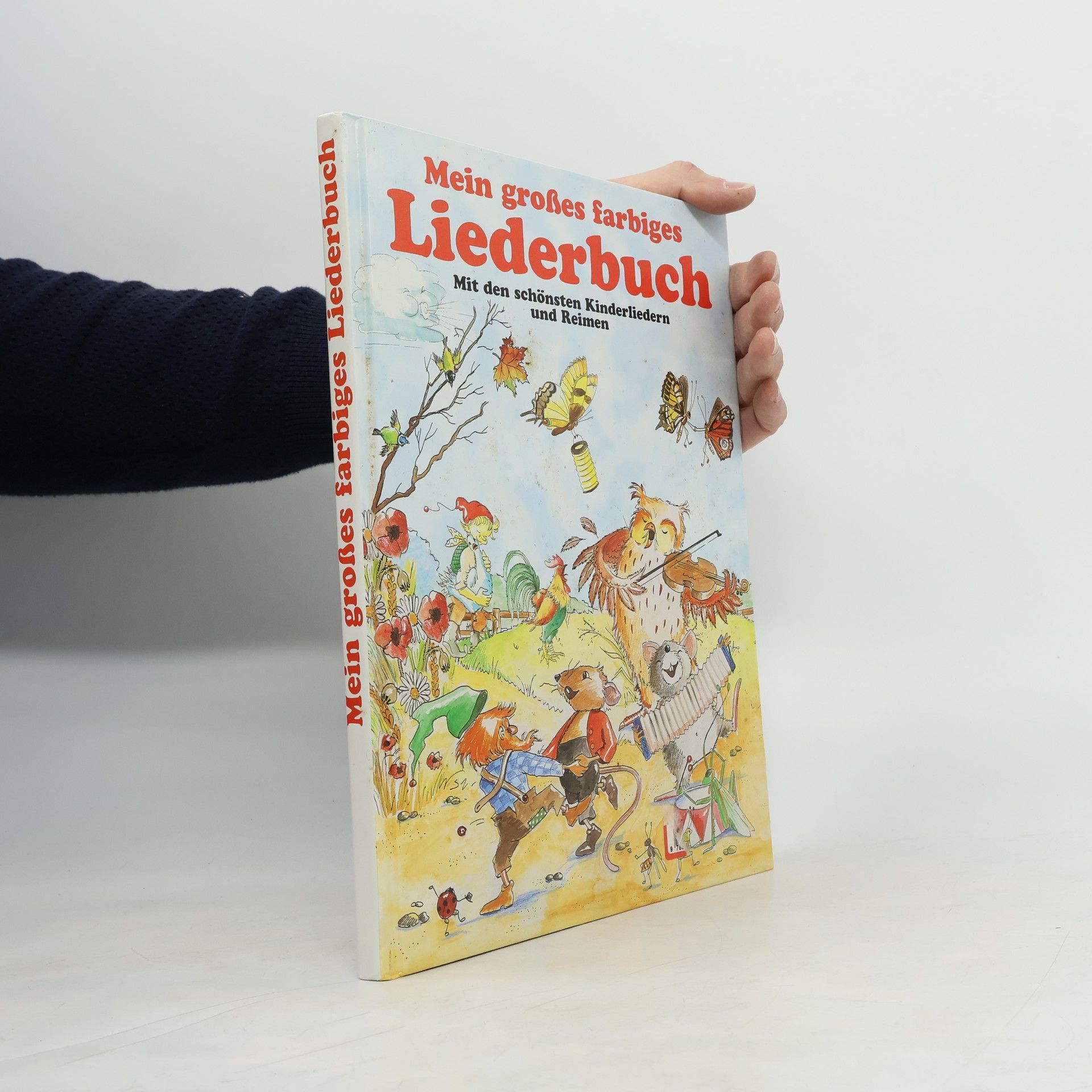 Various authors Mein großes farbiges Liederbuch