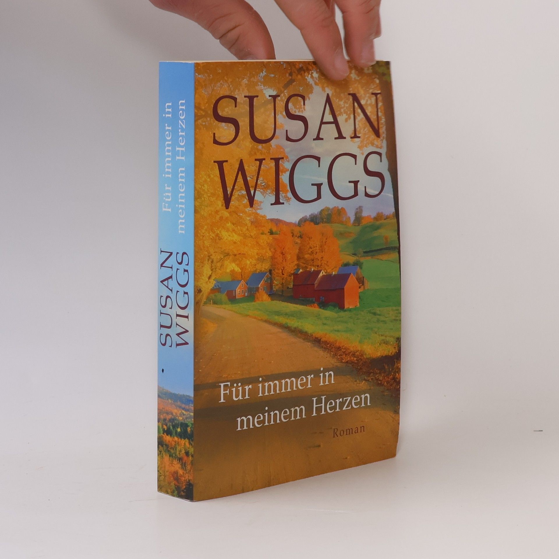 Susan Wiggs Für immer in meinem Herzen