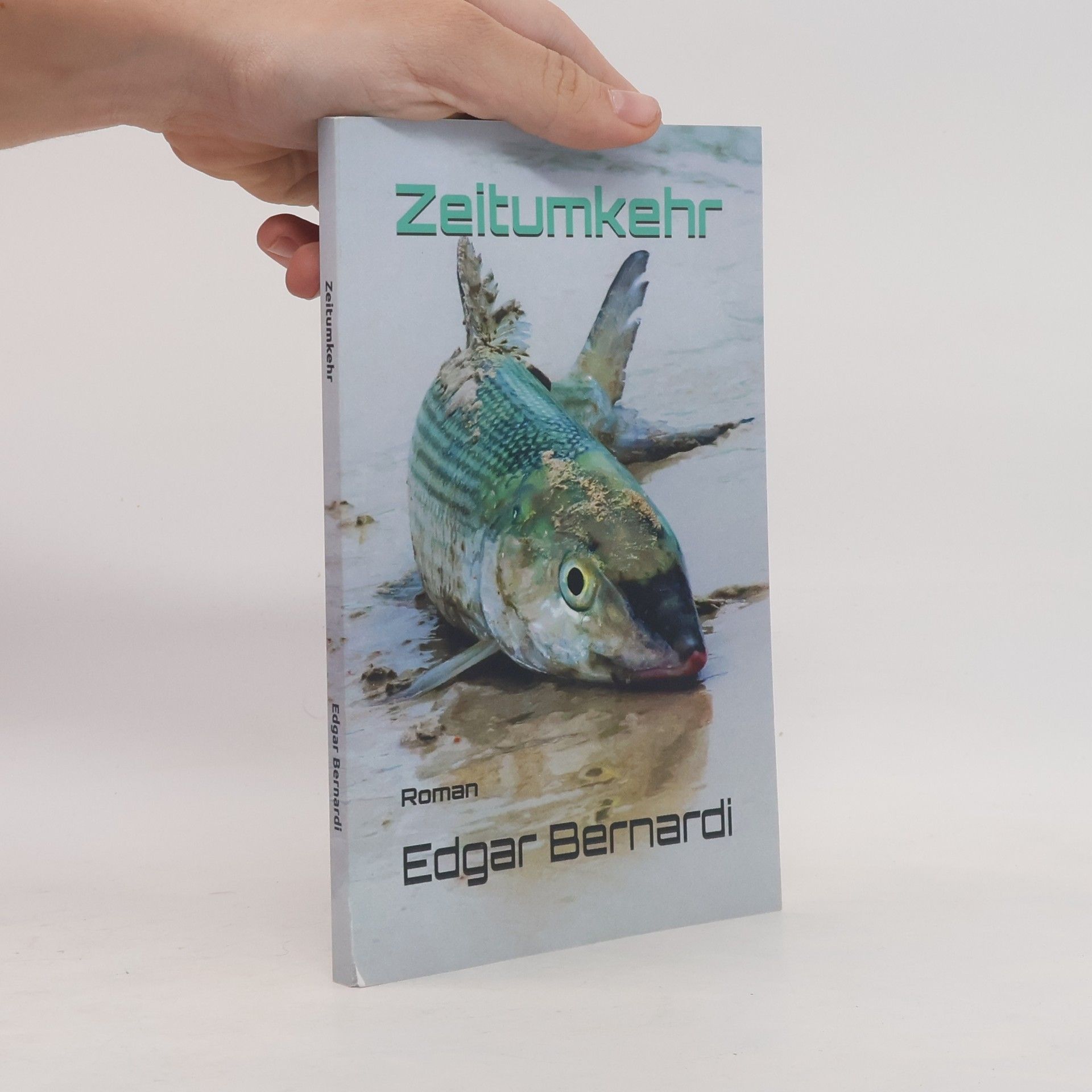 Edgar Bernardi Zeitumkehr: Roman