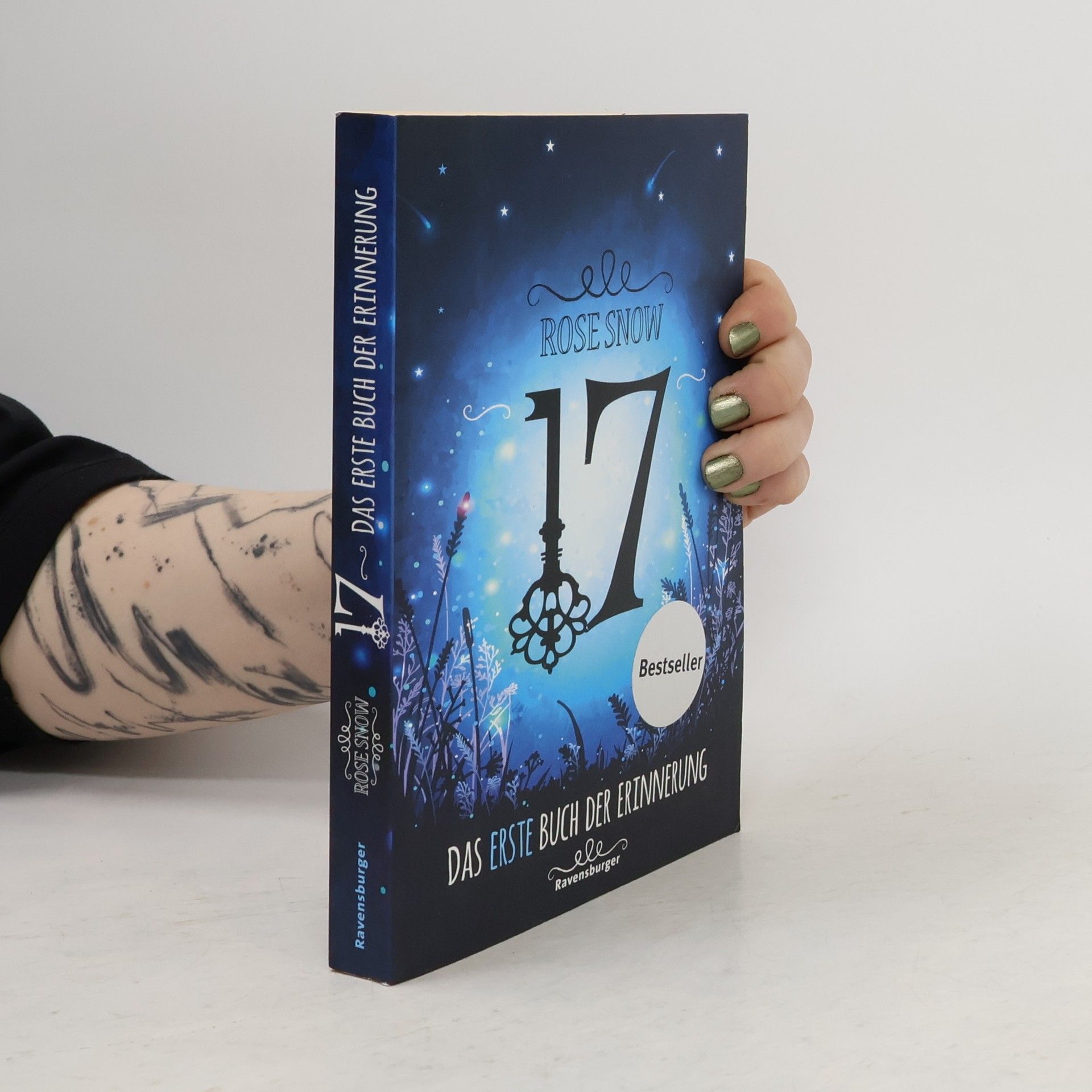 Rosie Snow 17: Das erste Buch der Erinnerung