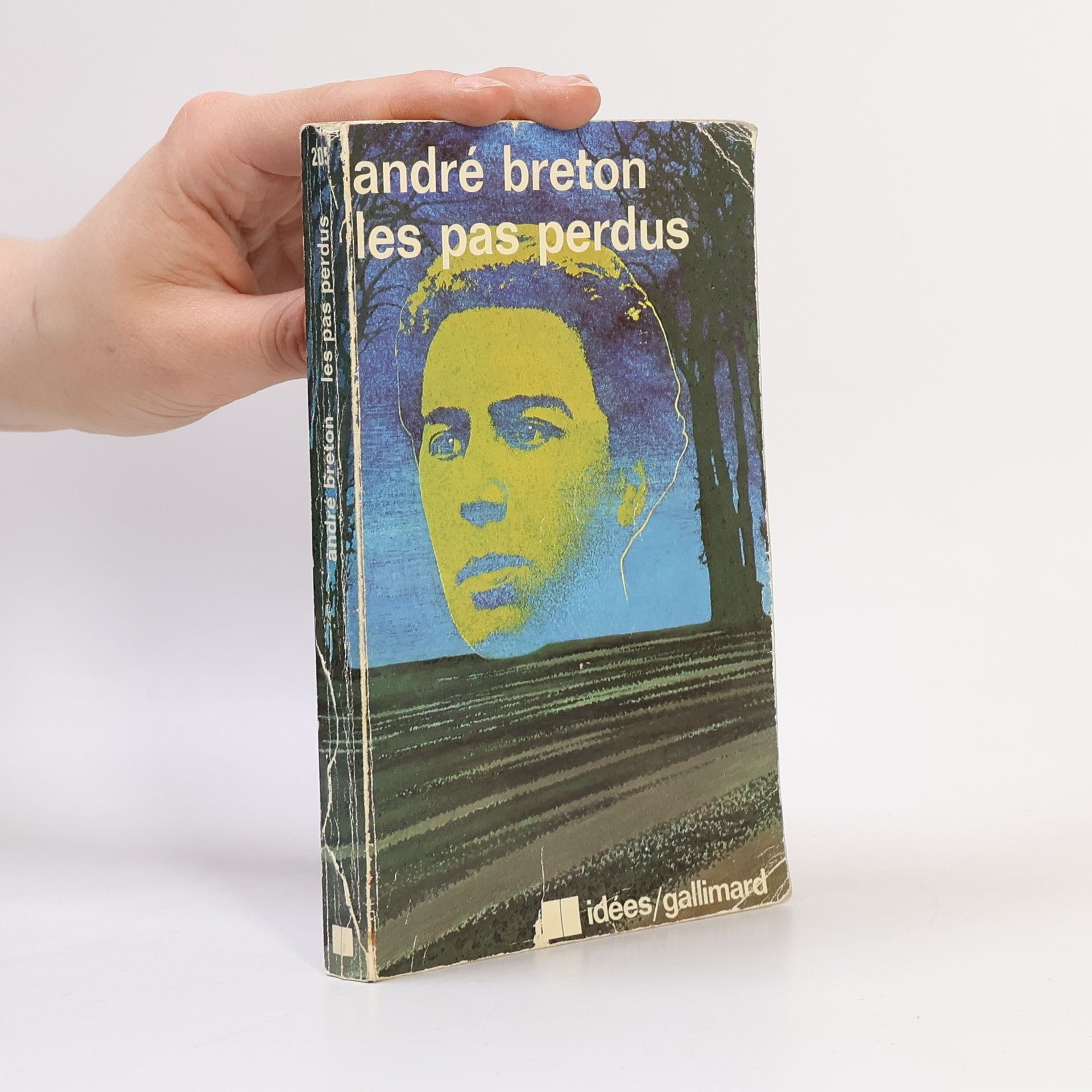 André Breton Les Pas Perdus