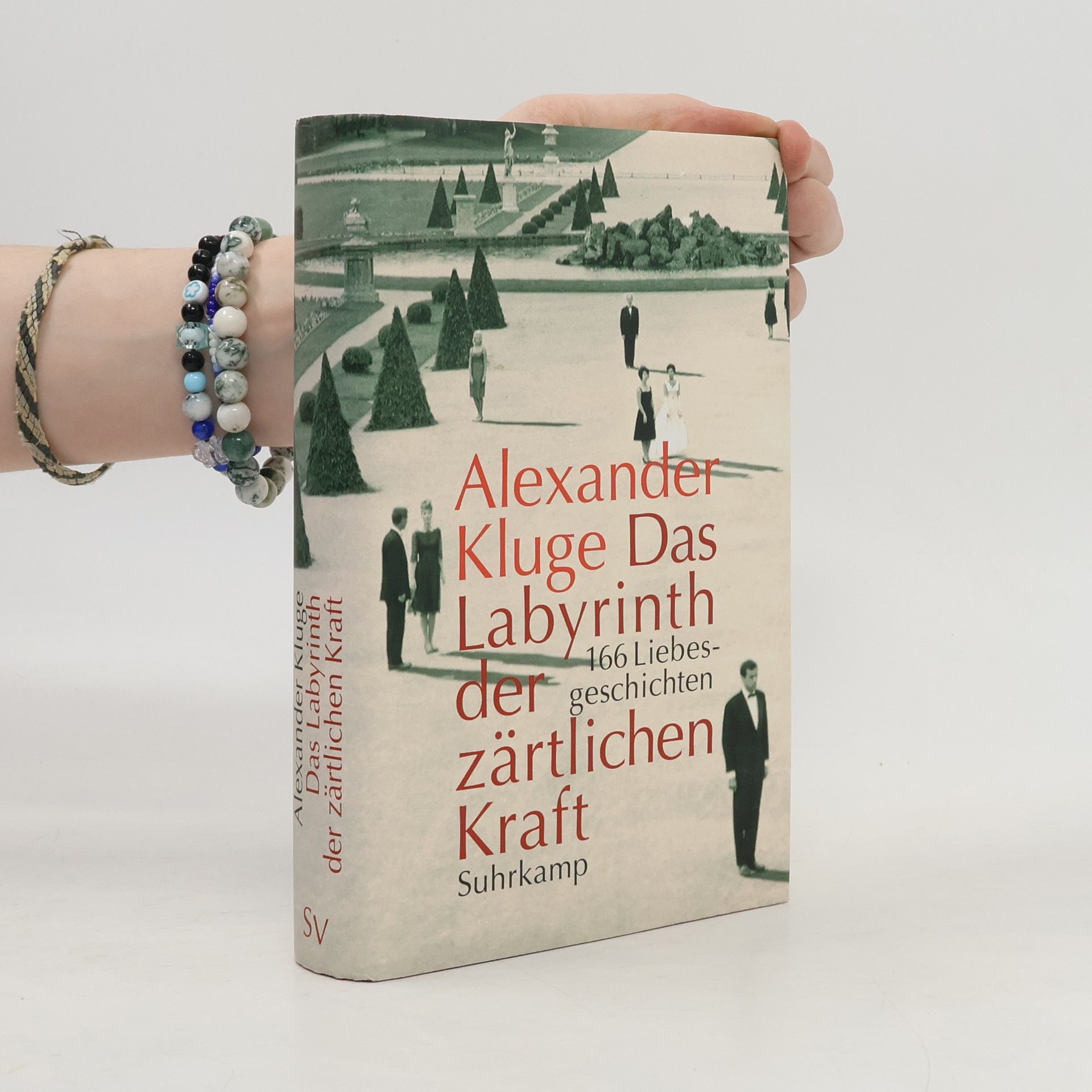 Alexander Kluge Das Labyrinth der zärtlichen Kraft, m. DVD