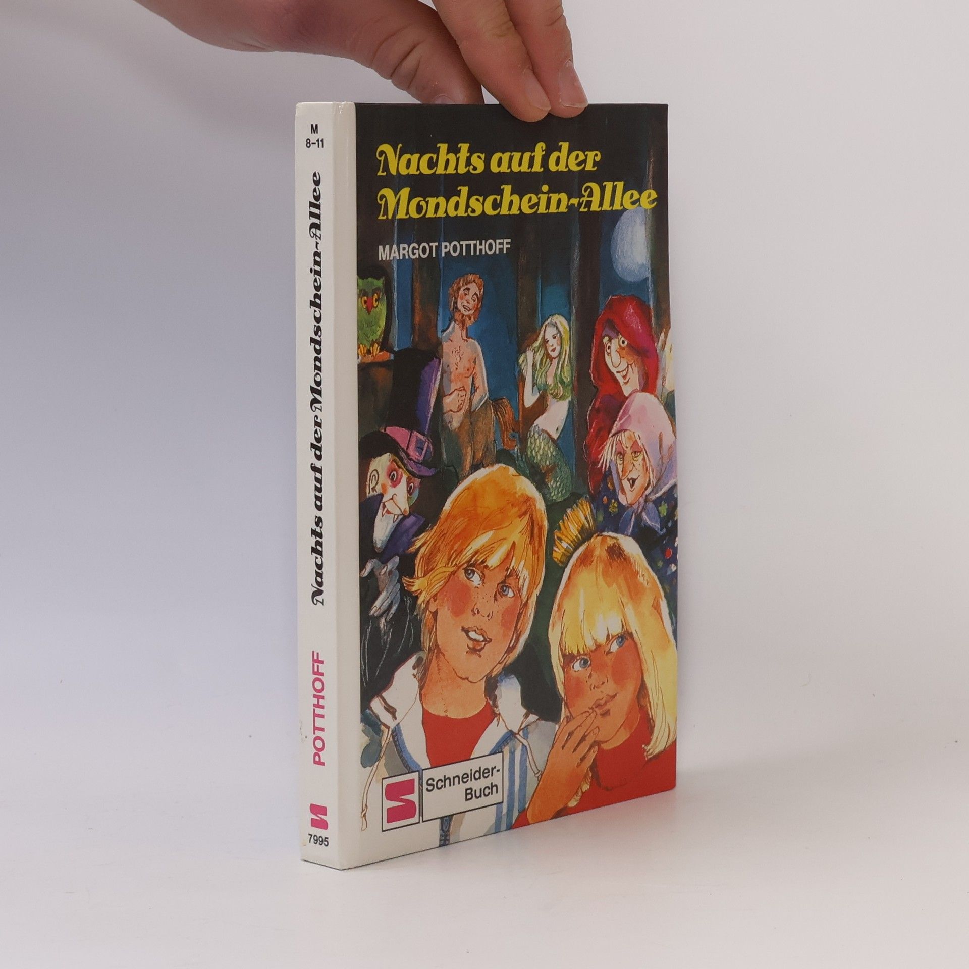 Nachts auf der Mondschein-Allee