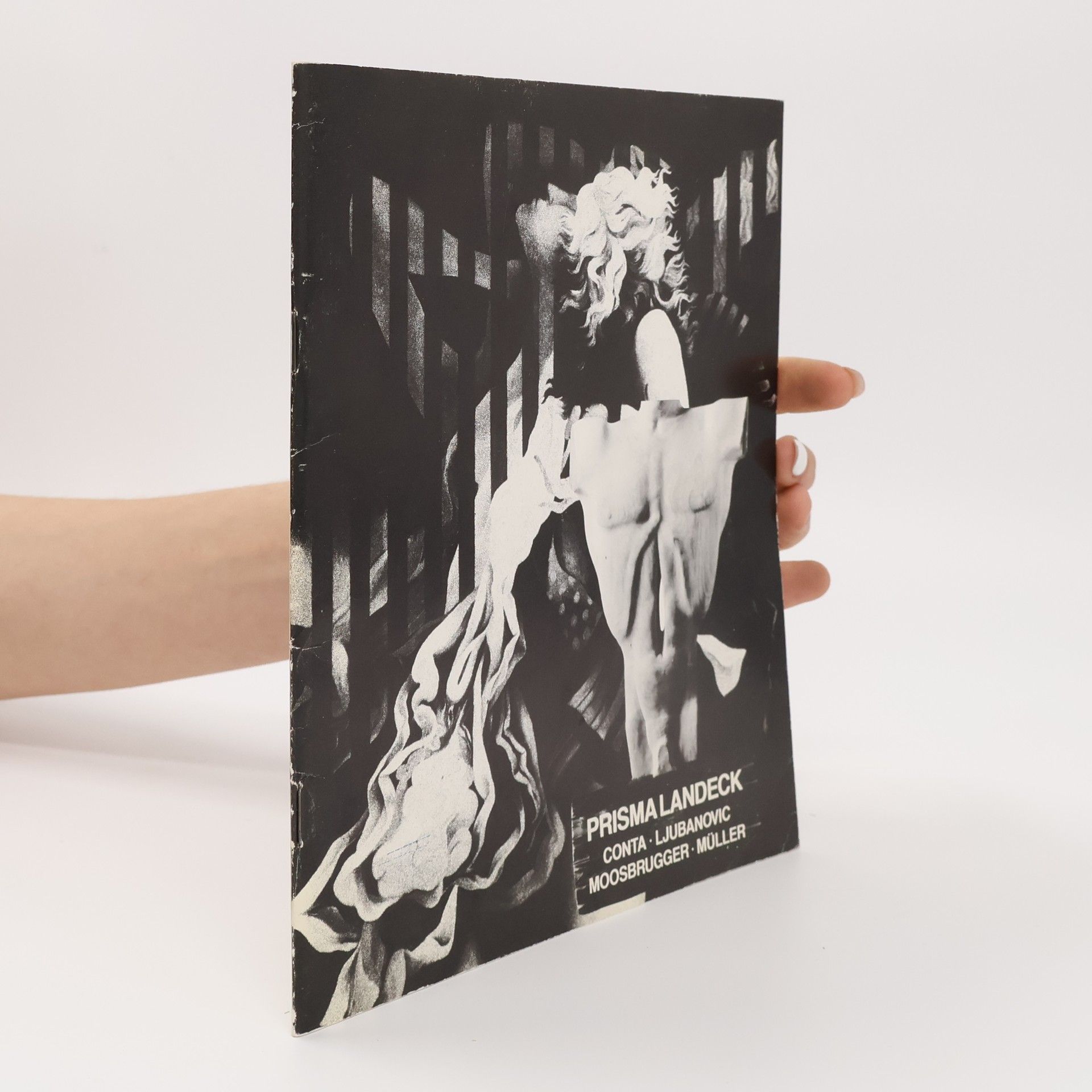 Kolektív autorov Prisma Landeck