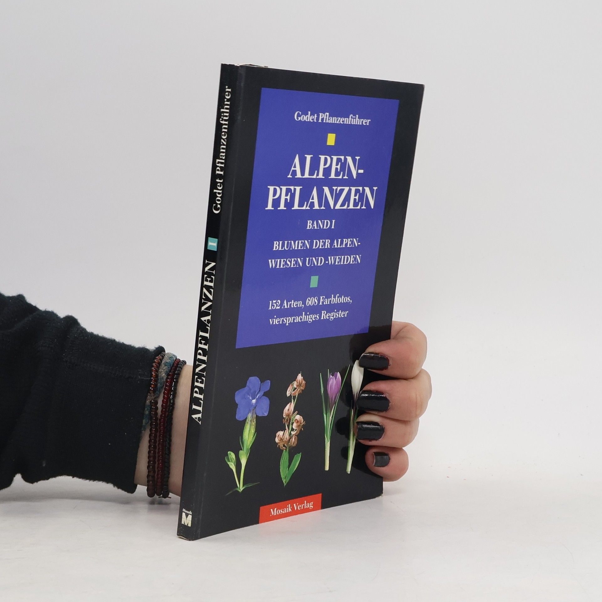 Autorenkollektiv Alpenpflanzen 1. Blumen der Alpenwiesen und Alpenweiden