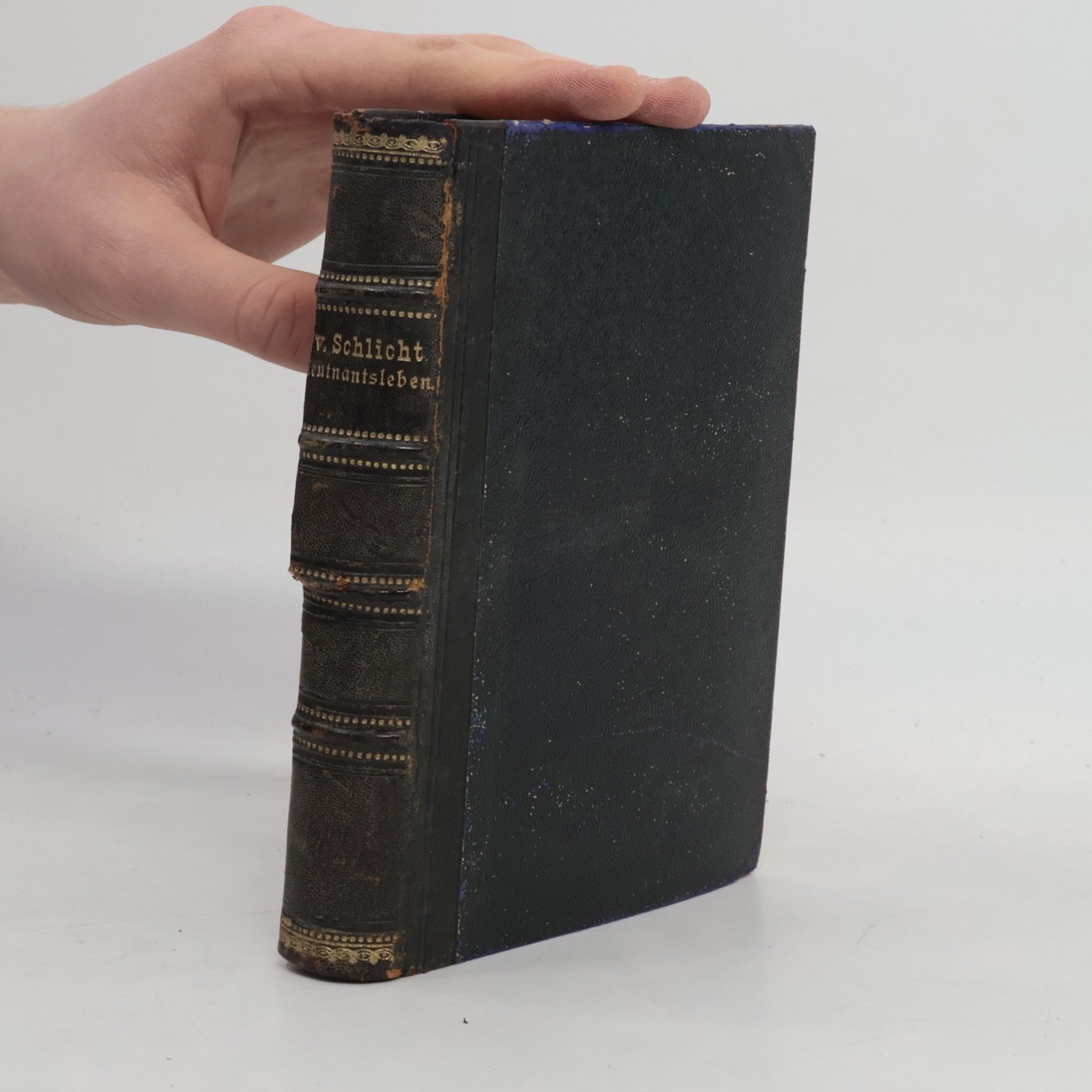 Freiherr Von Schlicht Ein Leben in Waffen I. Leutnantsleben