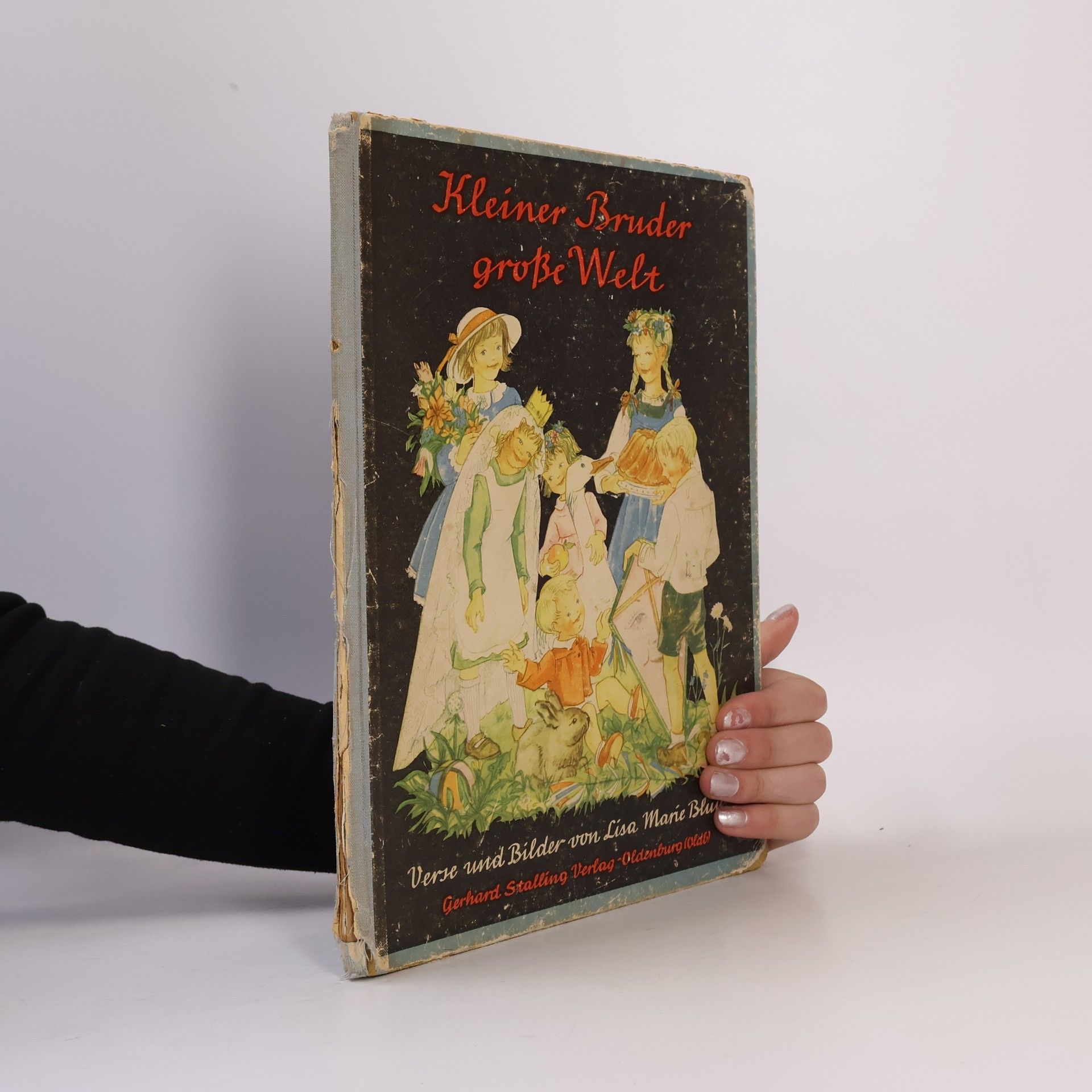 Lisa Marie Blum Kleiner Bruder große Welt