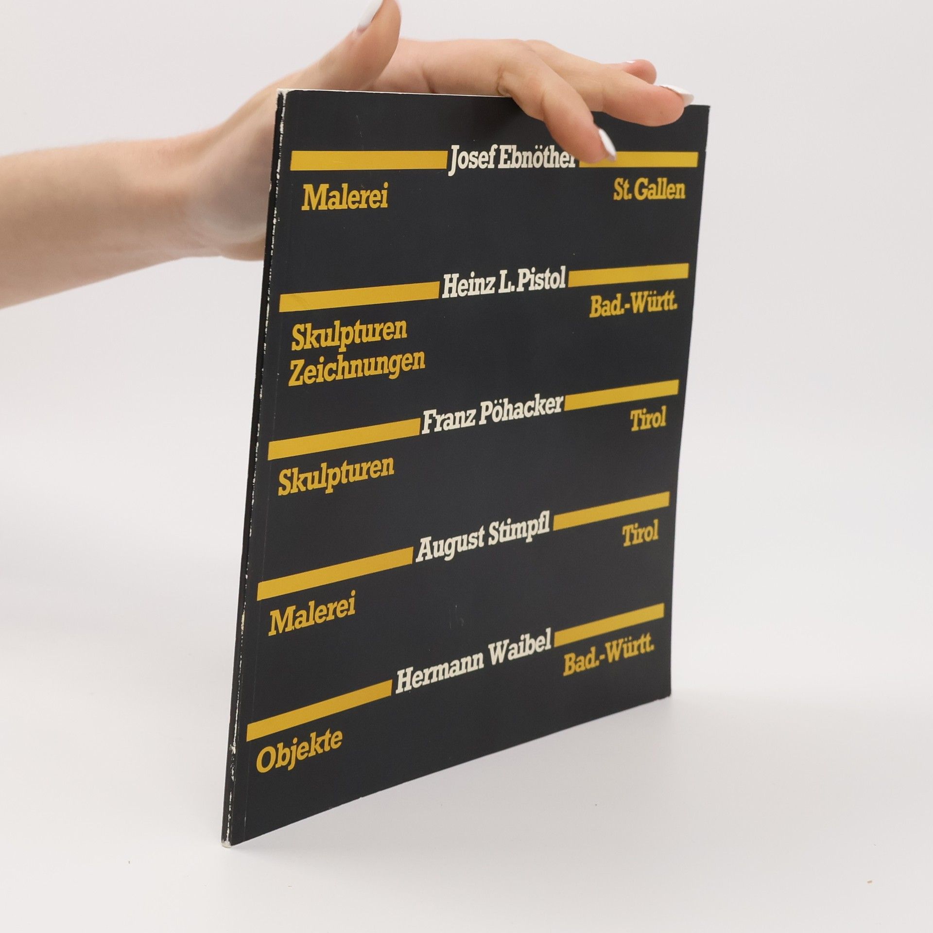 Kolektiv autorů Künstlerhaus Palais Thurn und Taxis Bregenz