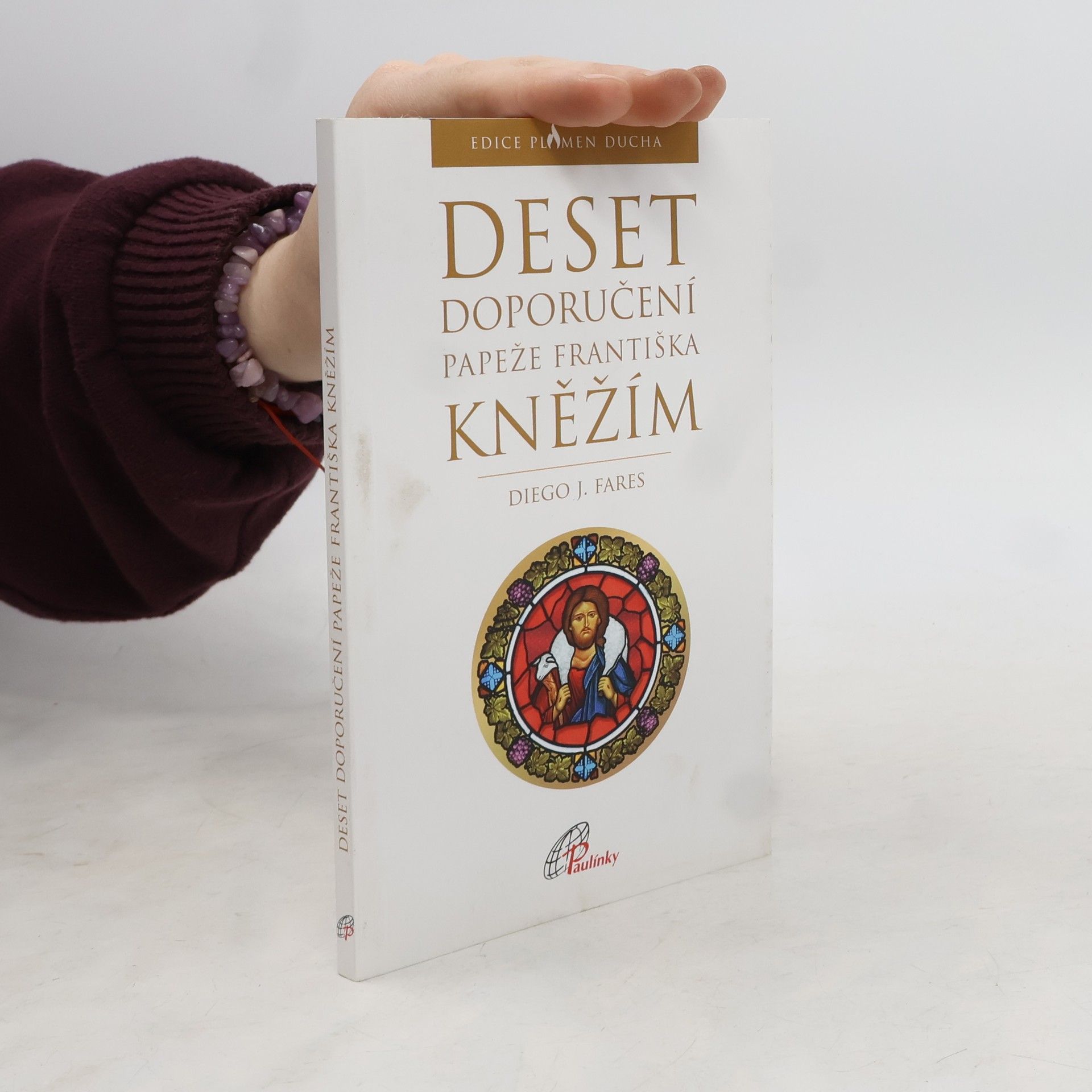 Diego J. Fares Deset doporučení papeže Františka kněžím