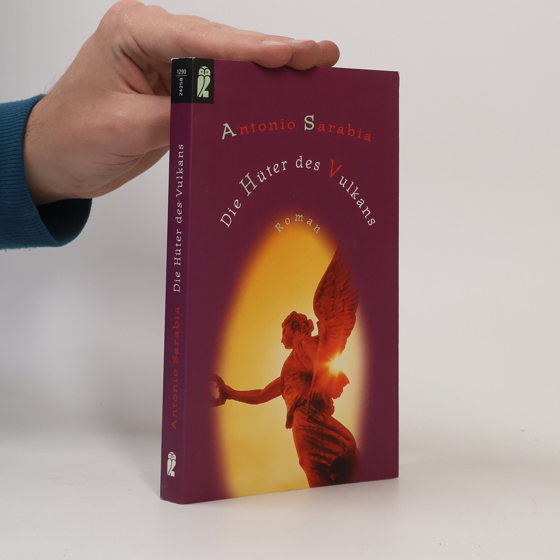 Antonio Sarabia Die Hüter des Vulkans