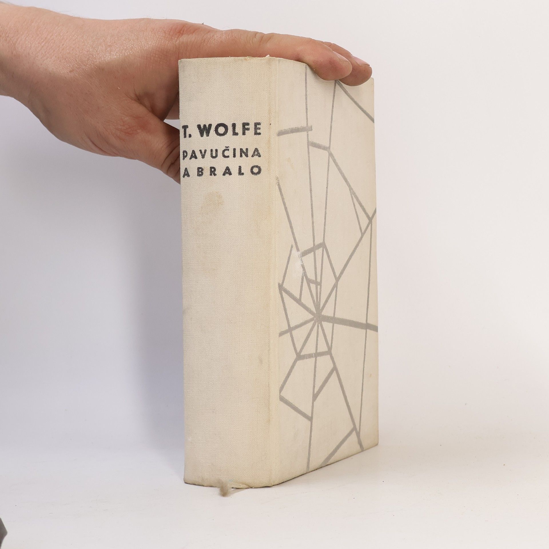 Thomas Wolfe Pavučina a bralo