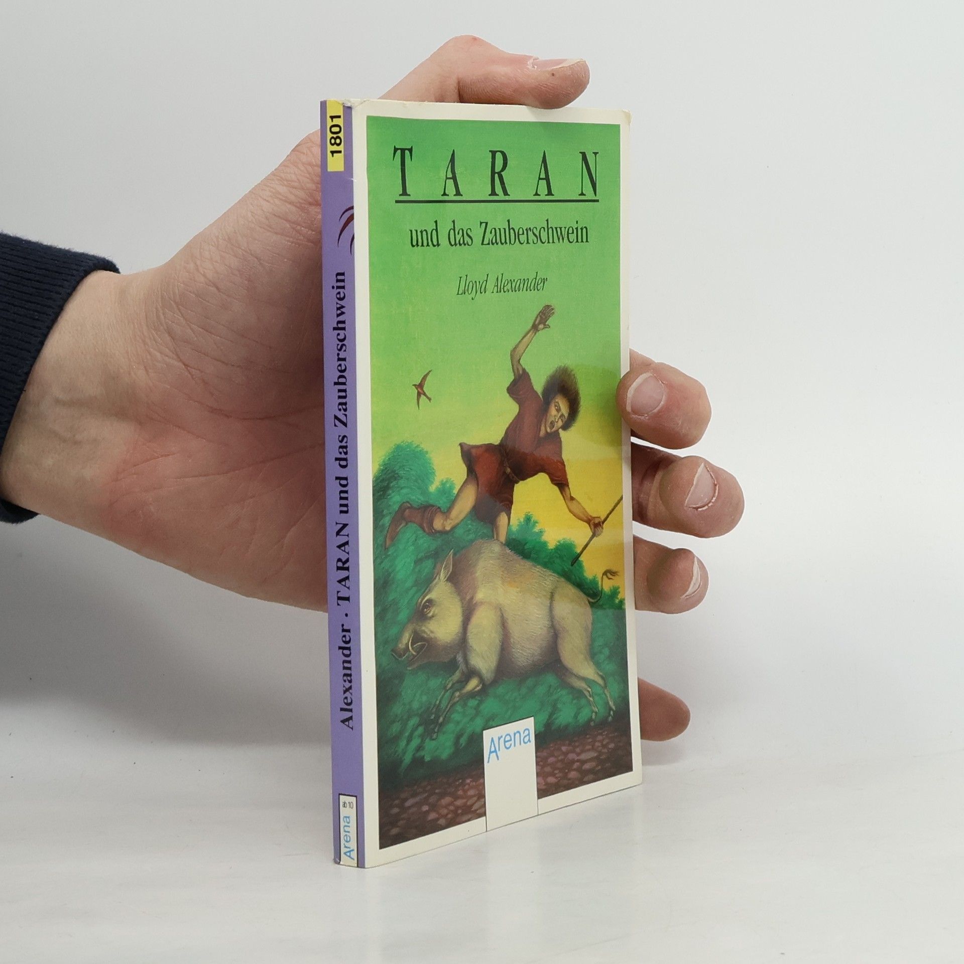 Lloyd Alexander Taran und das Zauberschwein