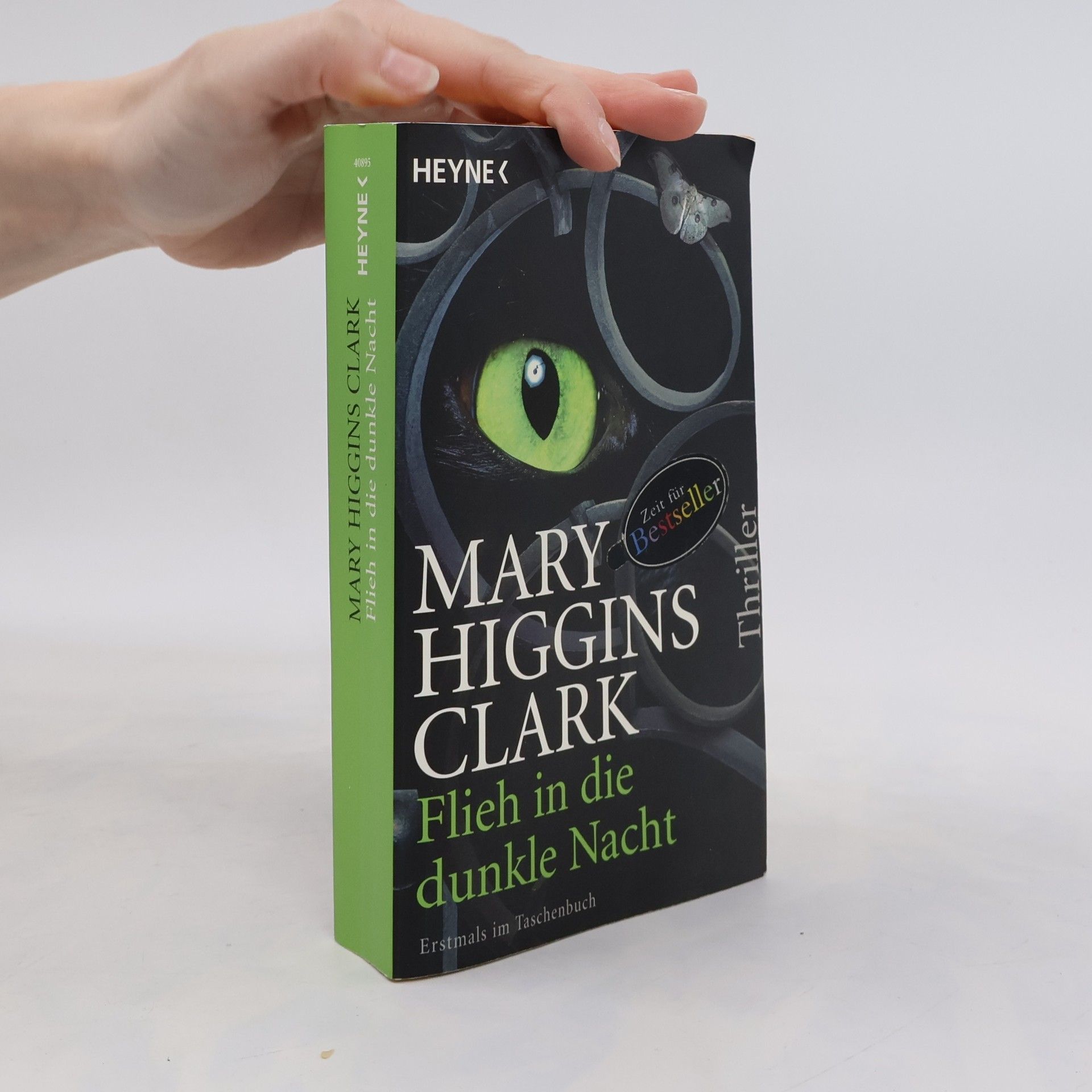 Mary Higgins Clark Flieh in die dunkle Nacht