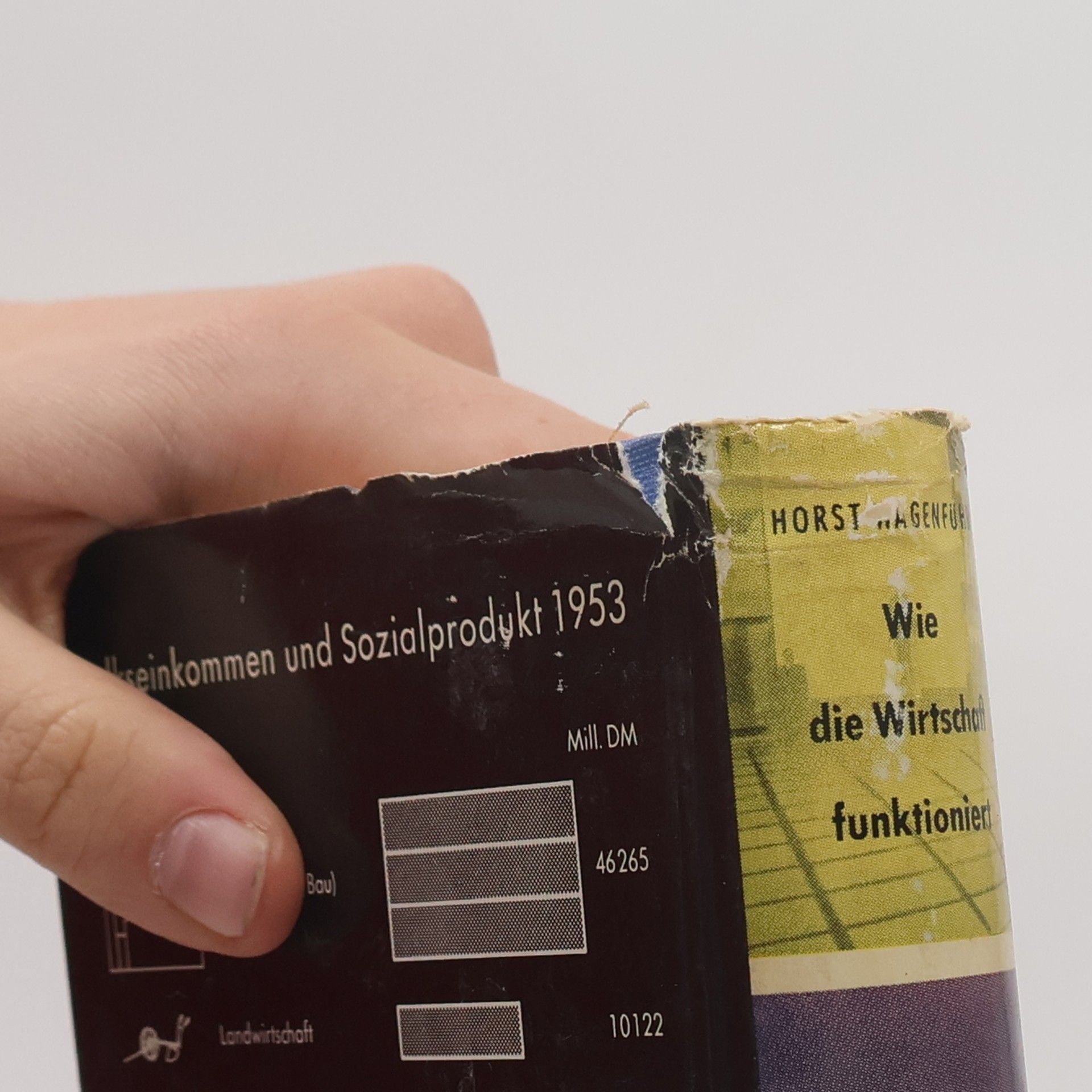 Horst Wagenführ Wie die Wirtschaft funktioniert