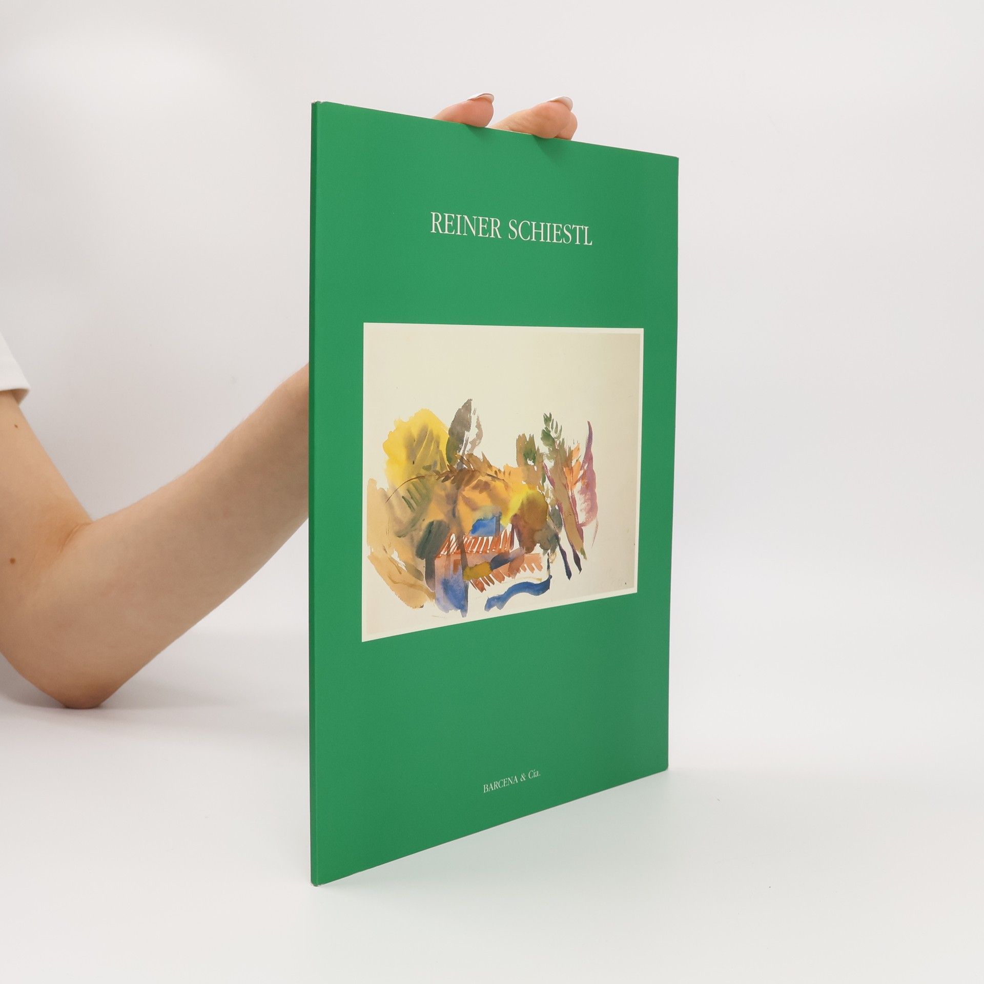 Kolektiv autorů Reiner Schiestl