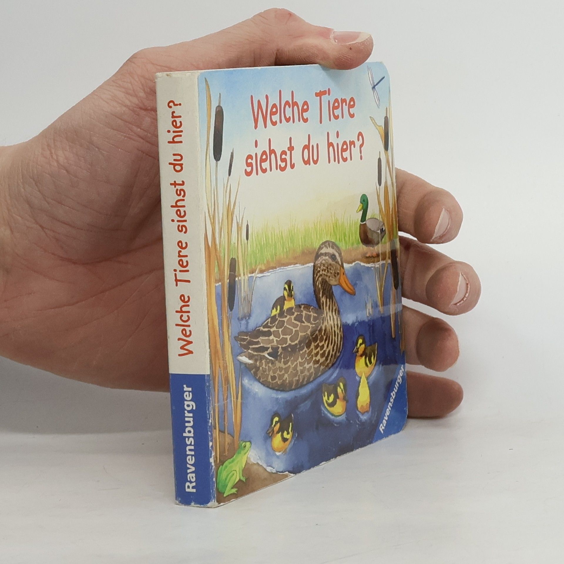 Andrea Erne Welche Tiere siehst du hier?