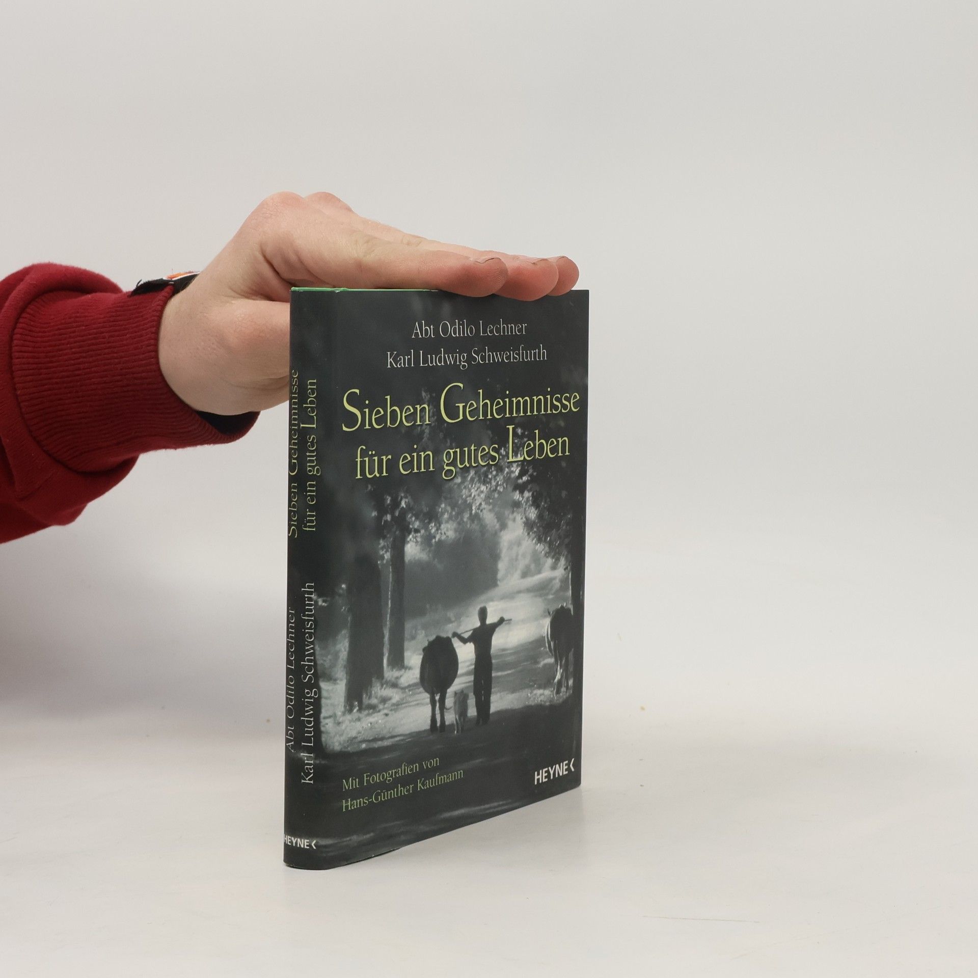 Odilo Lechner Sieben Geheimnisse für ein gutes Leben