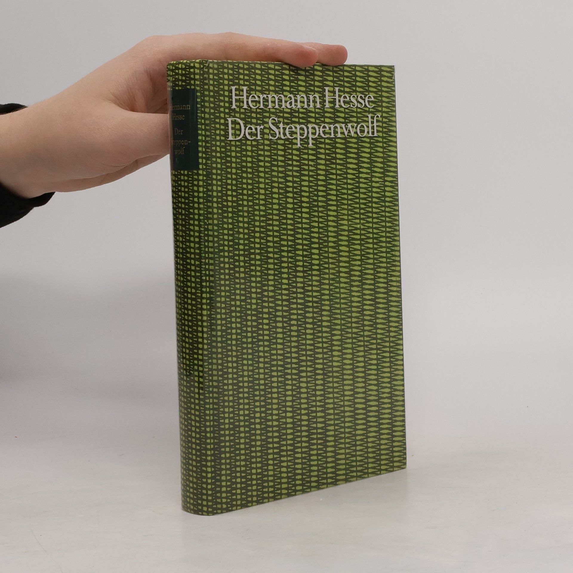 Hermann Hesse Der Steppenwolf