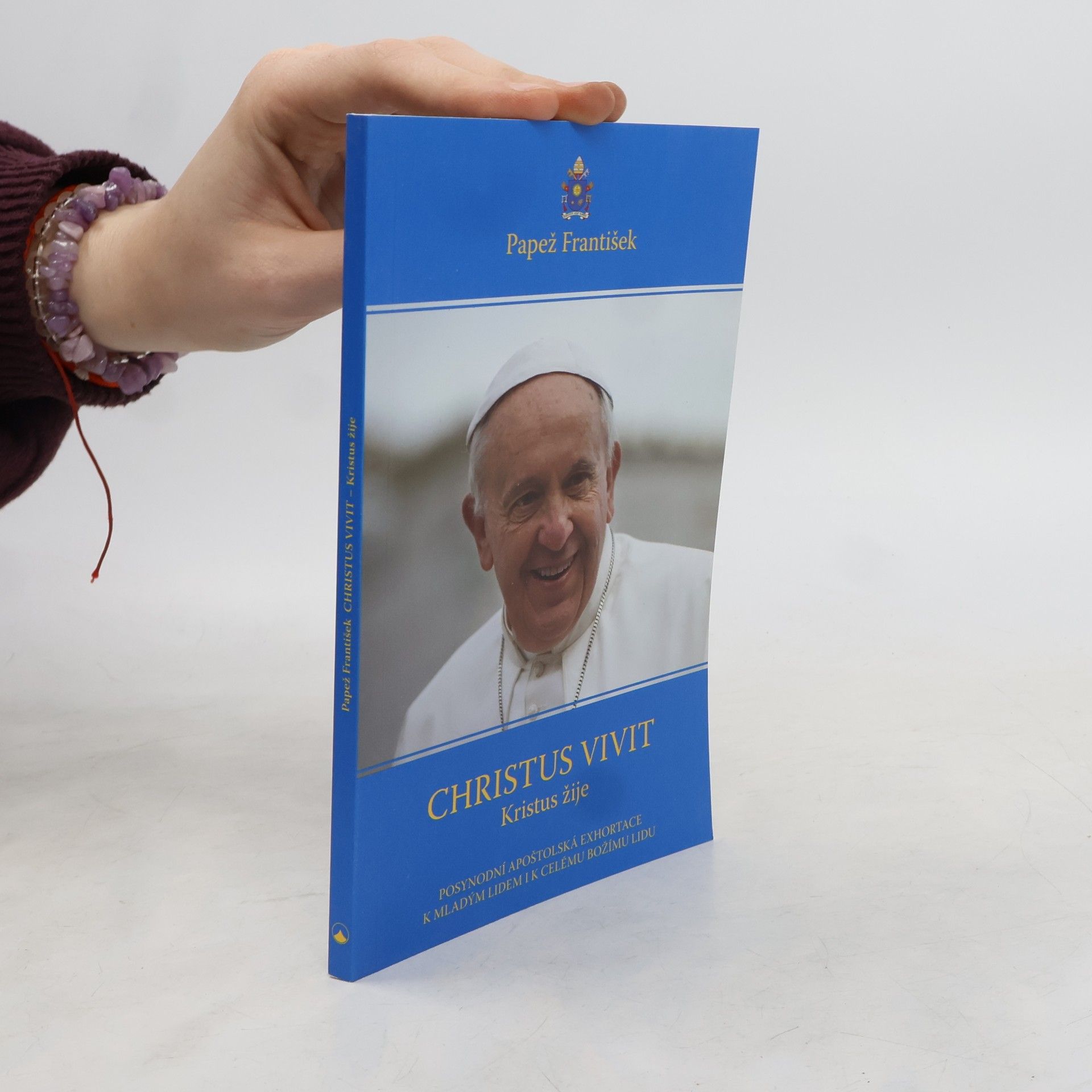 Jaroslav Brož Christus vivit = Kristus žije: Posynodní apoštolská exhortace k mladým lidem i k celému Božímu lidu