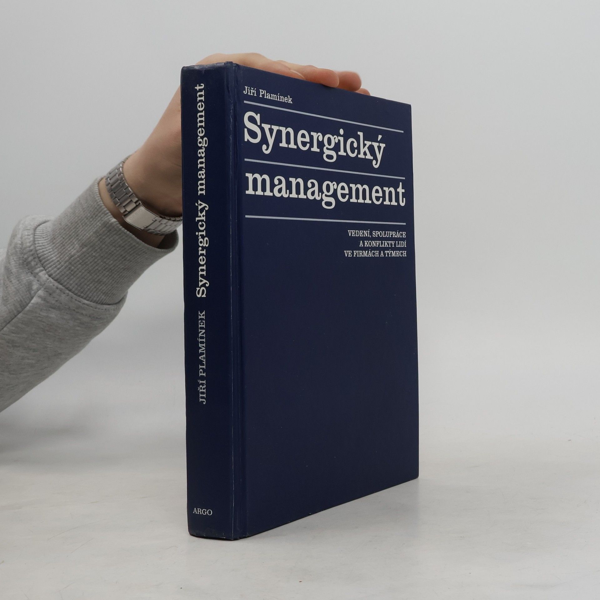 Synergický management