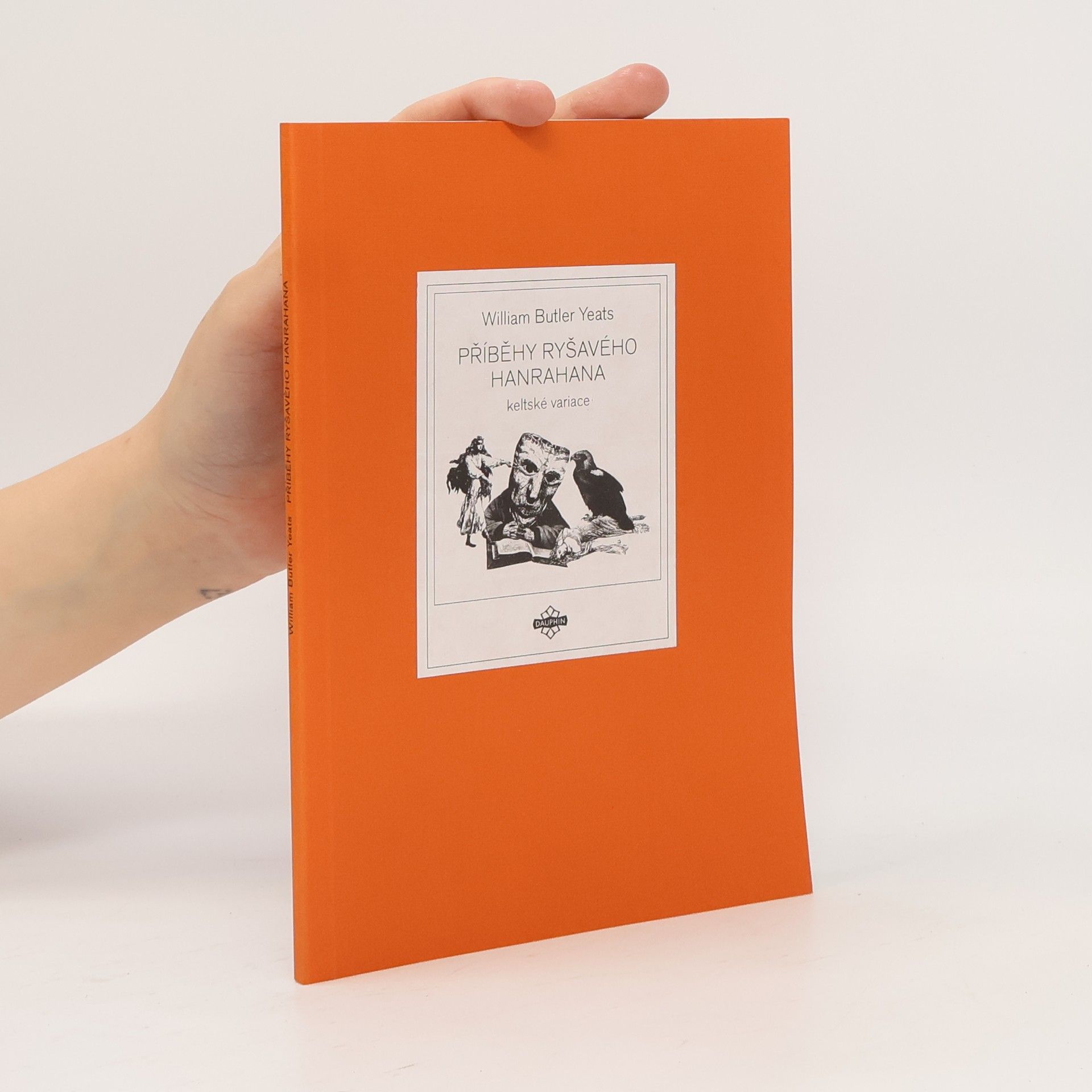 William Butler Yeats Příběhy ryšavého Hanrahana – keltské variace