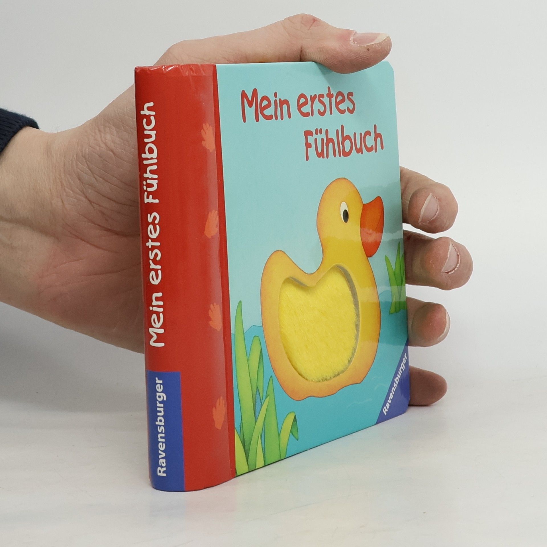 Monika Neubacher Fesser Mein erstes Fühlbuch