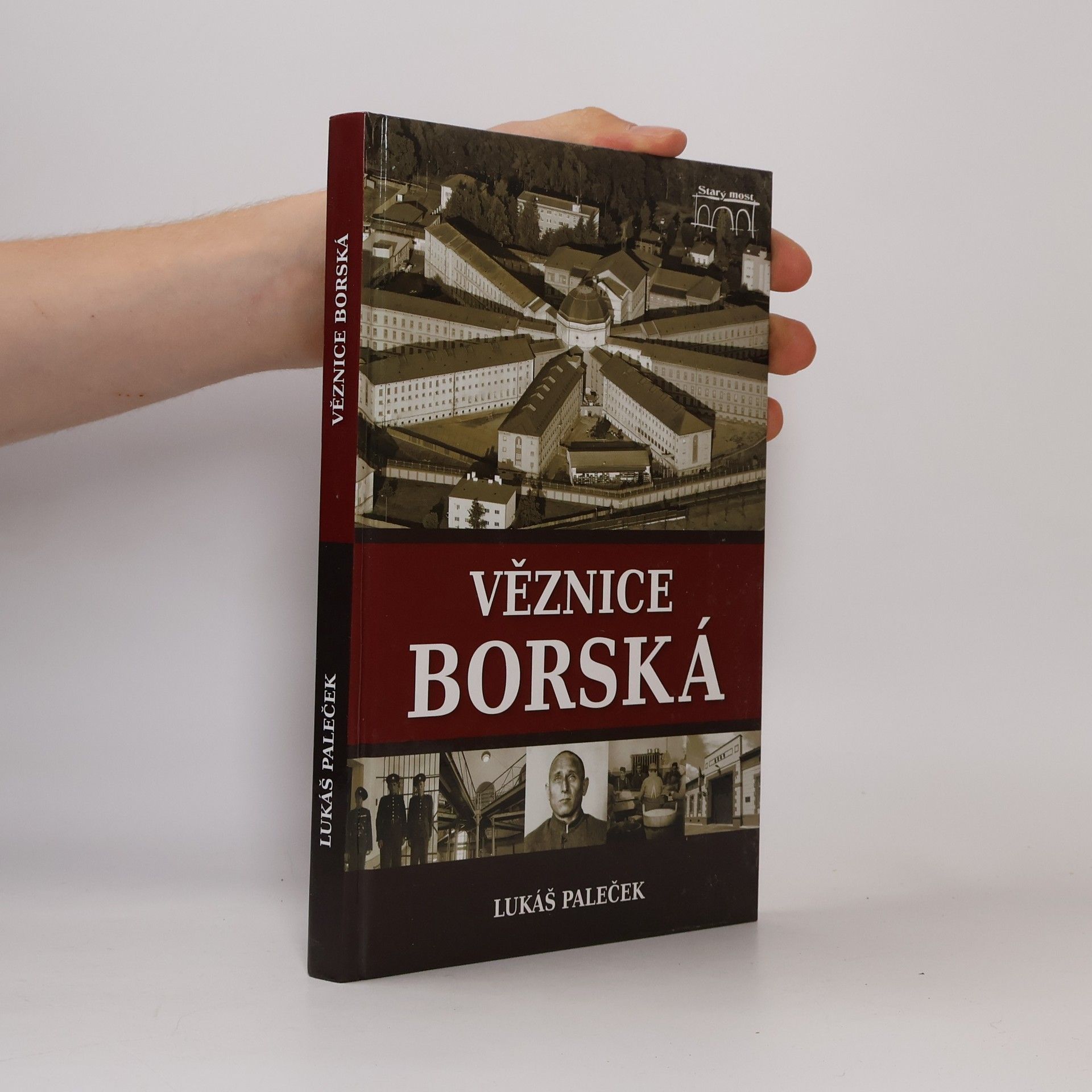 Lukáš Paleček Věznice borská