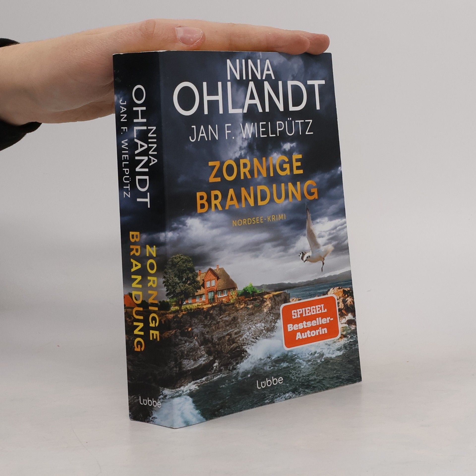 Nina Ohlandt Zornige Brandung