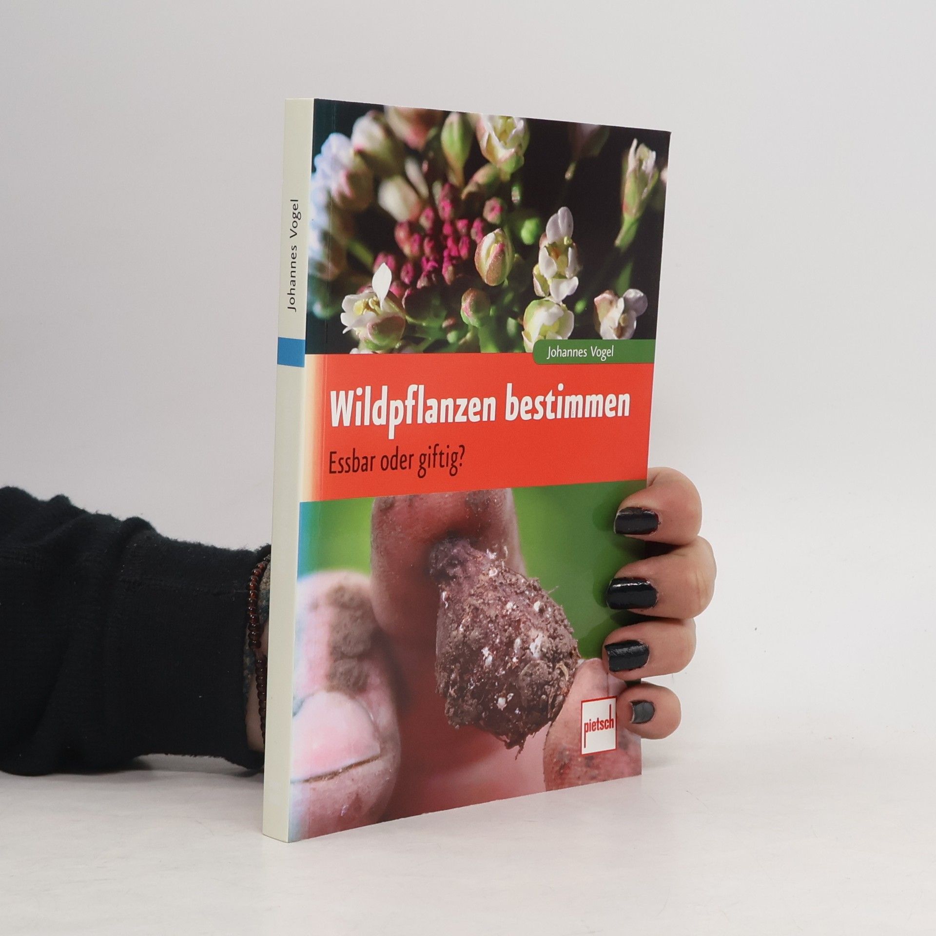 Johannes Vogel Wildpflanzen bestimmen