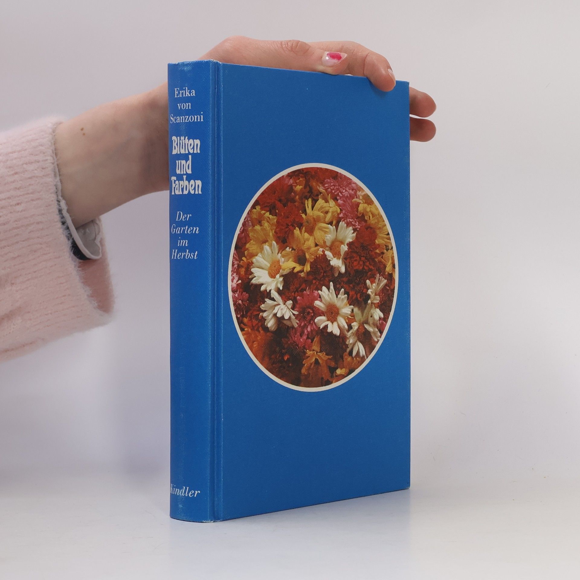 Blüten und Farben. Der Garten im Herbst