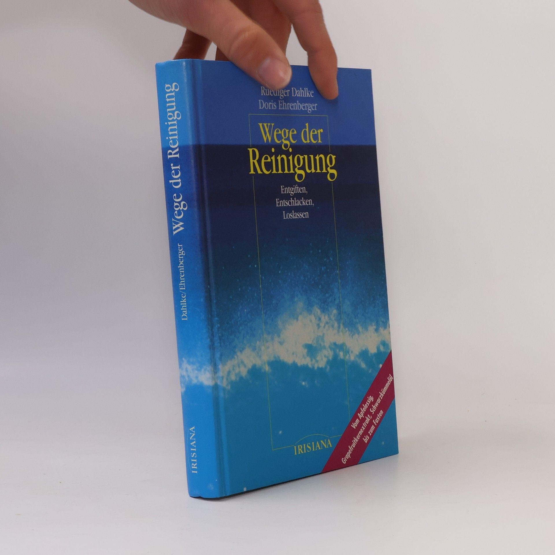 Ruediger Dahlke Wege der Reinigung