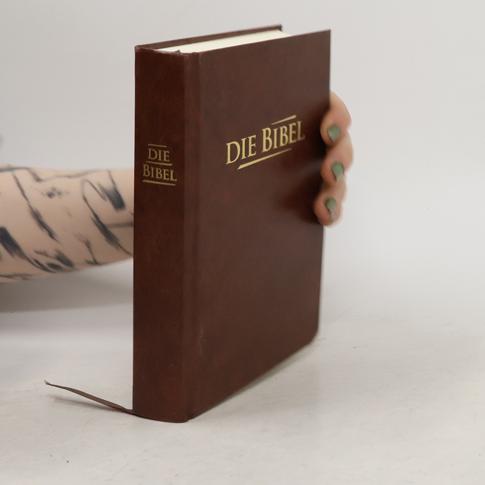 Collectif d'auteurs Die Bibel