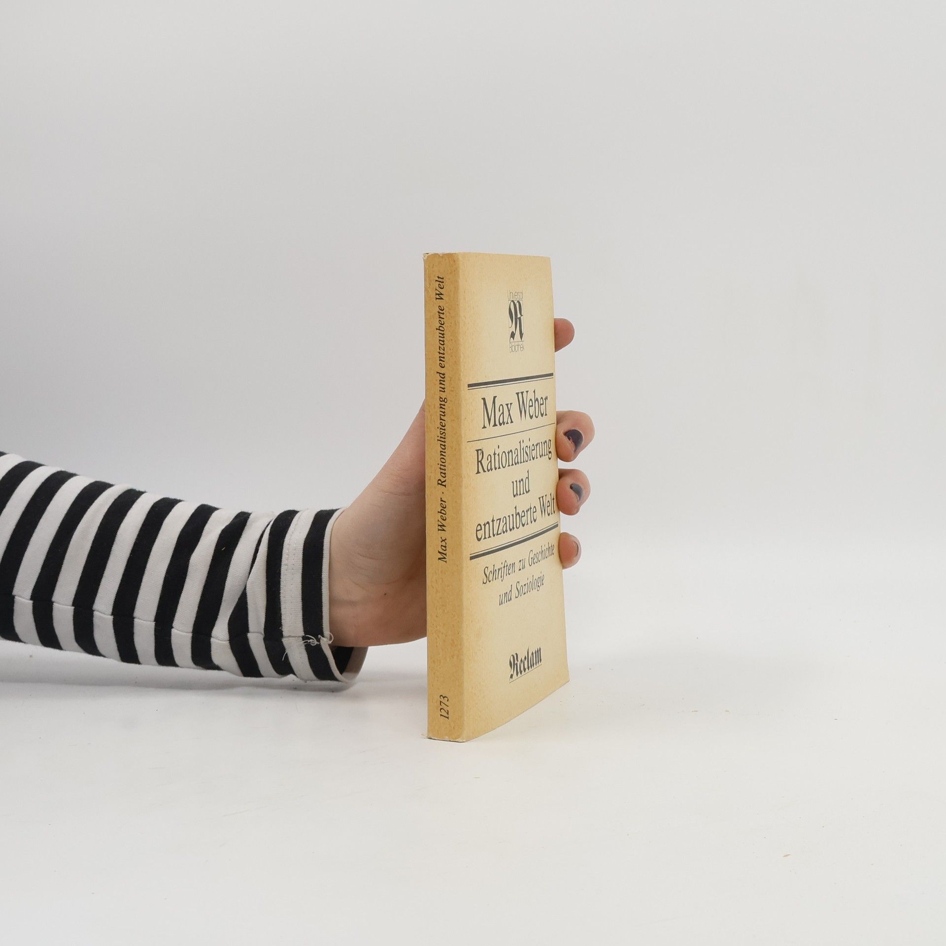 Max Weber Rationalisierung und entzauberte Welt