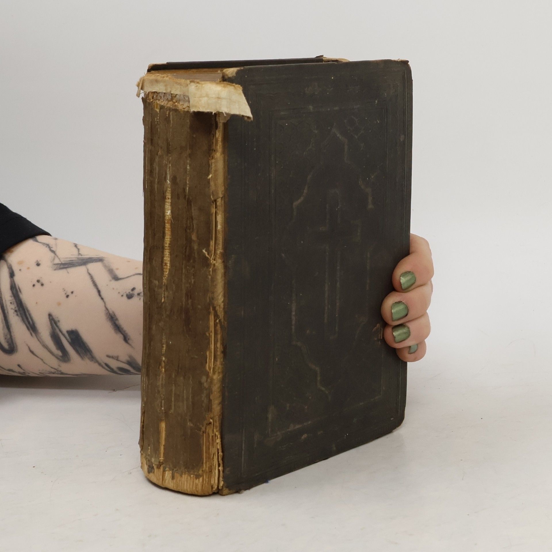 Martin Luther Die Bibel