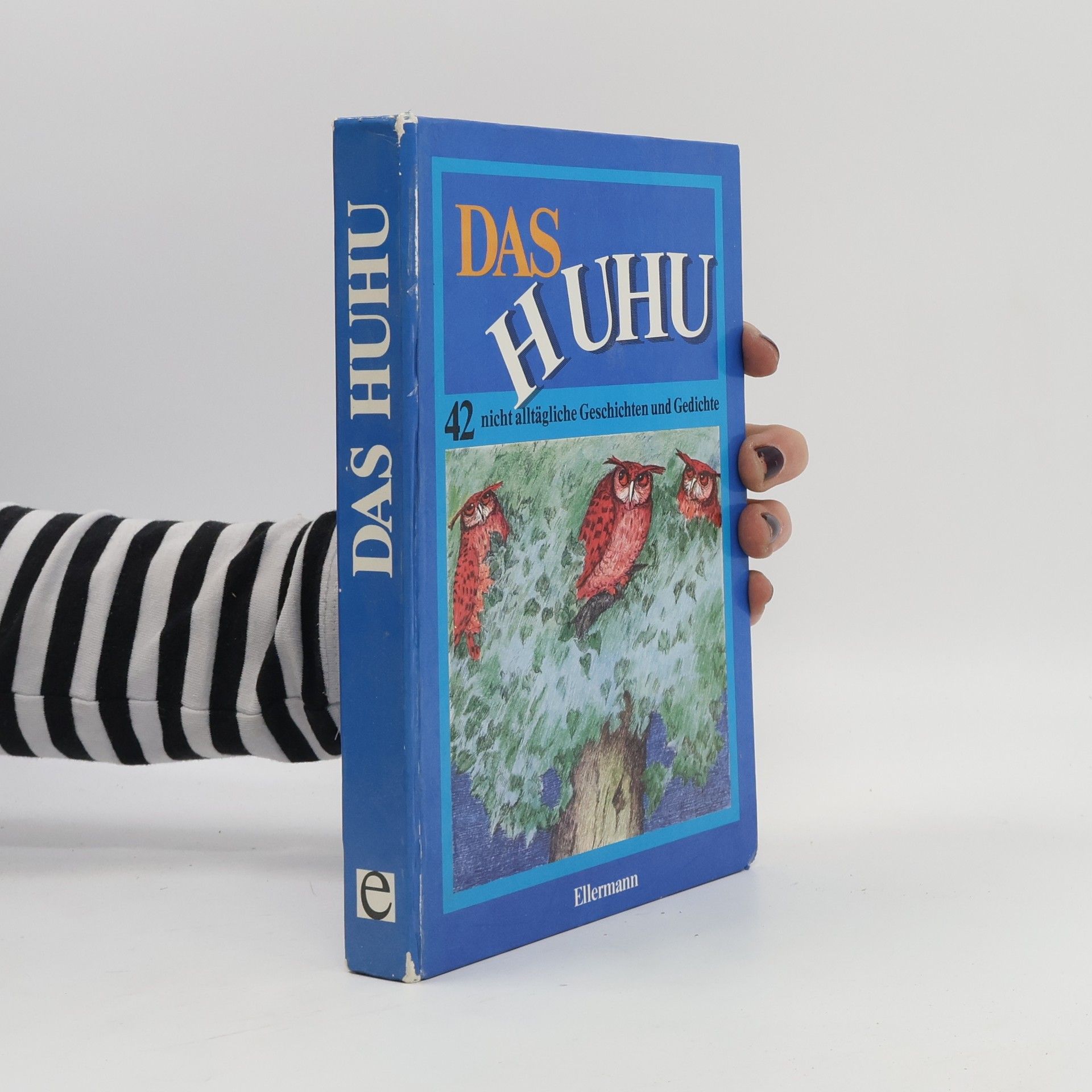 Autorenkollektiv Das Huhu: 42 nicht alltägliche Geschichten und Gedichte zum Vorlesen und Selberlesen