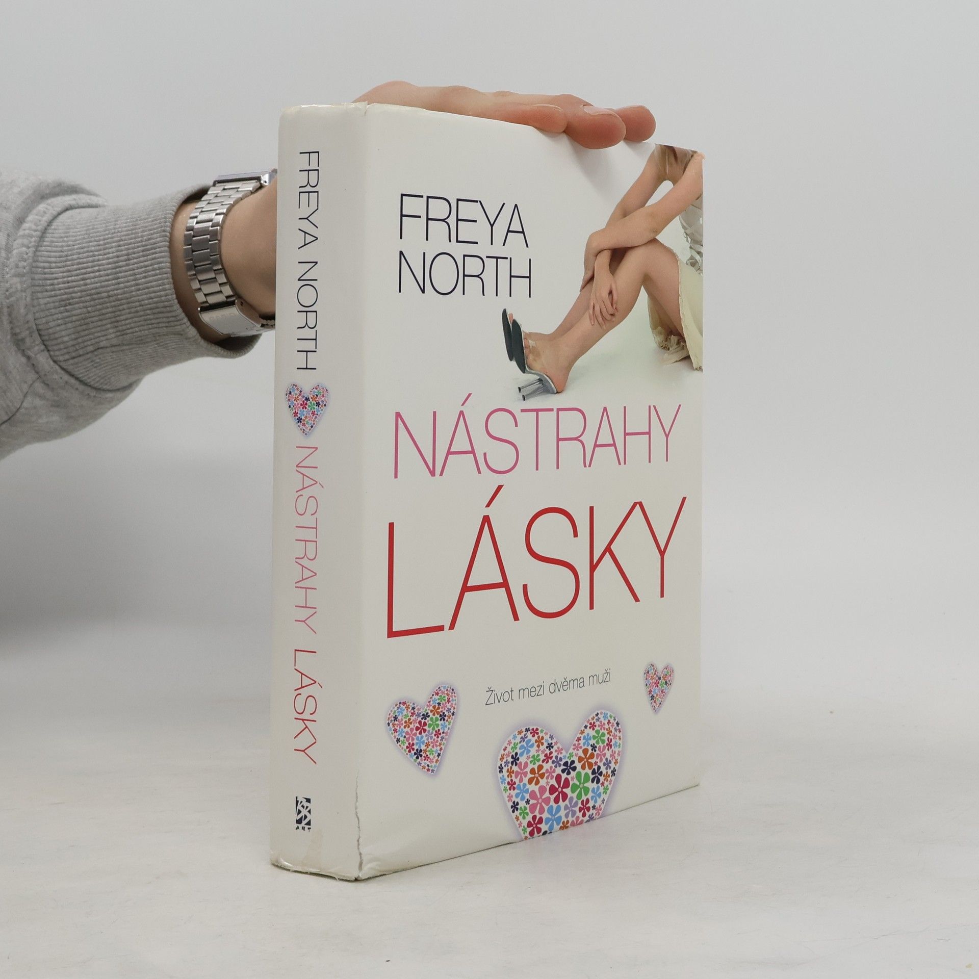 Freya North Nástrahy lásky