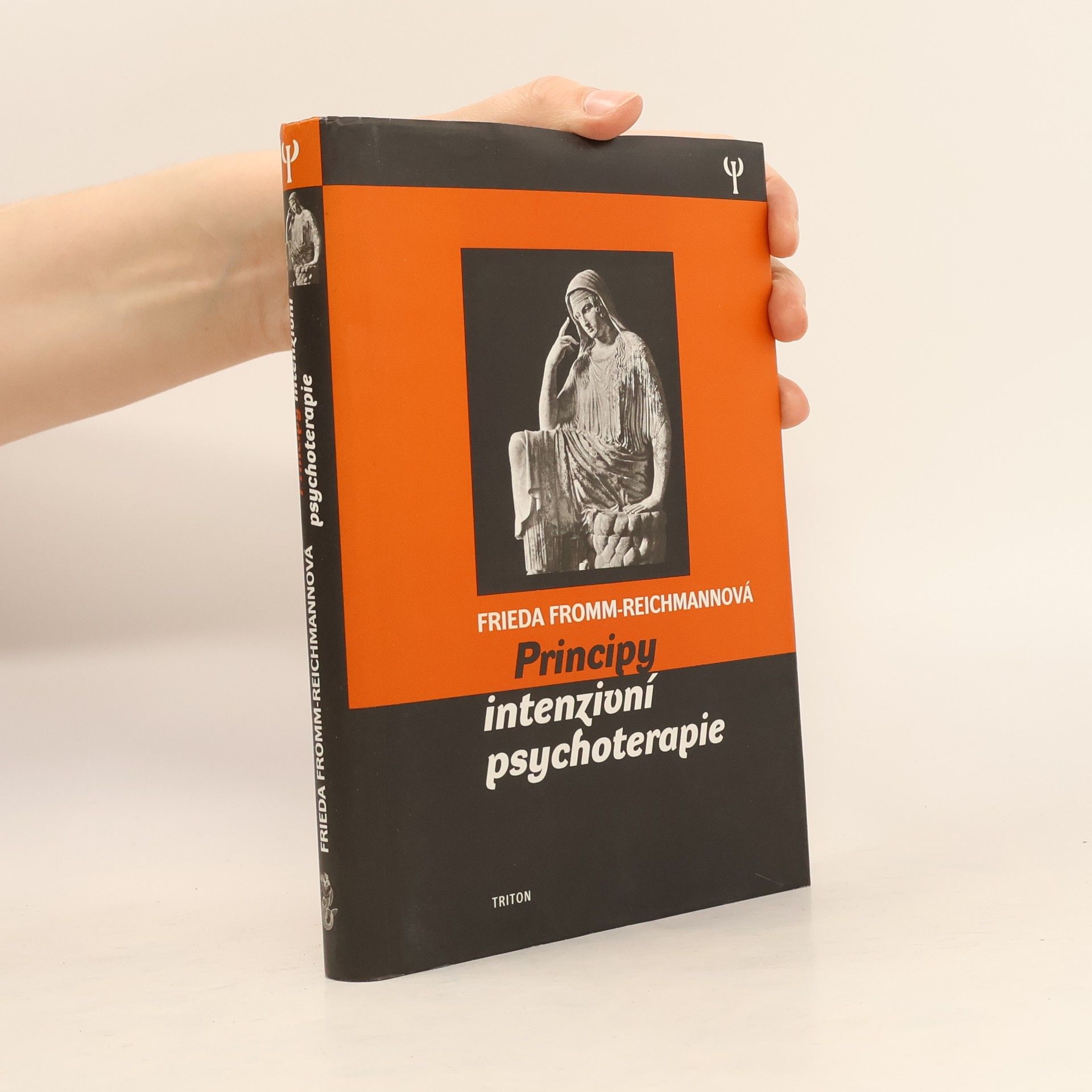 Frieda Fromm-Reichmann Principy intenzivní psychoterapie