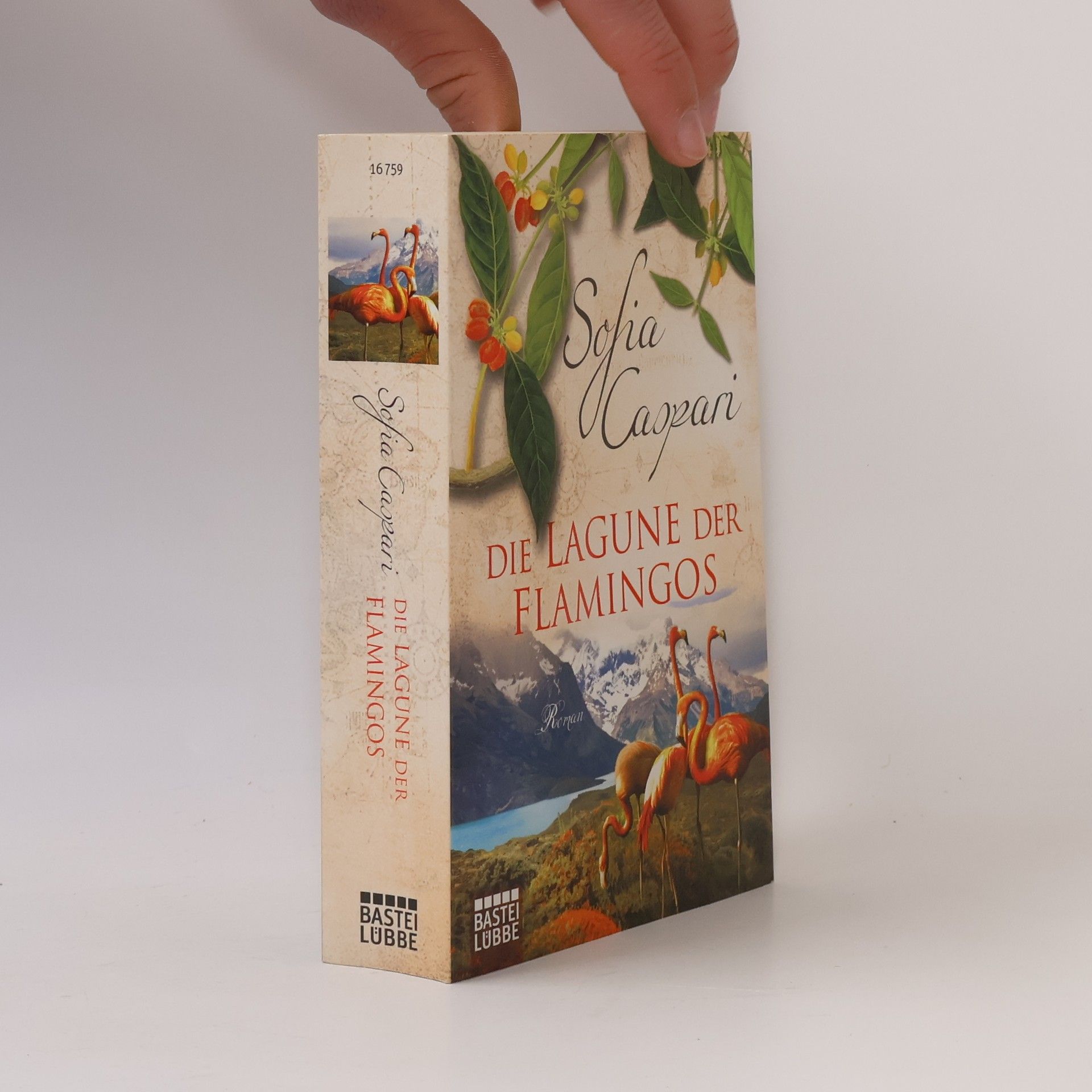 Sofia Caspari Die Lagune der Flamingos