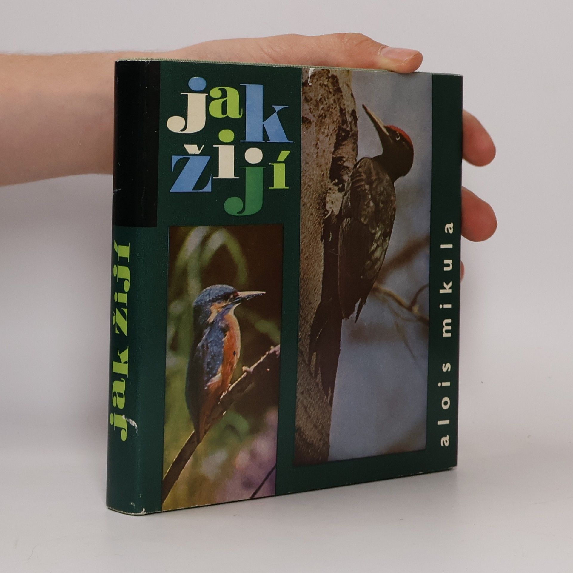 Alois Mikula Jak žijí