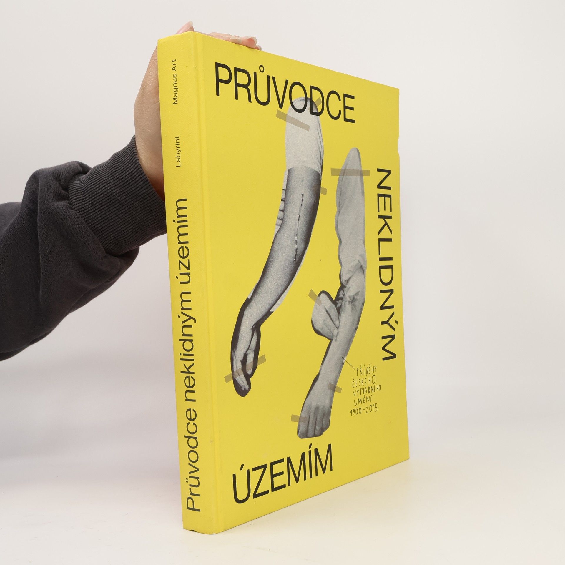 Ondřej Horák Průvodce neklidným územím. Příběhy českého výtvarného umění (1900-2015)