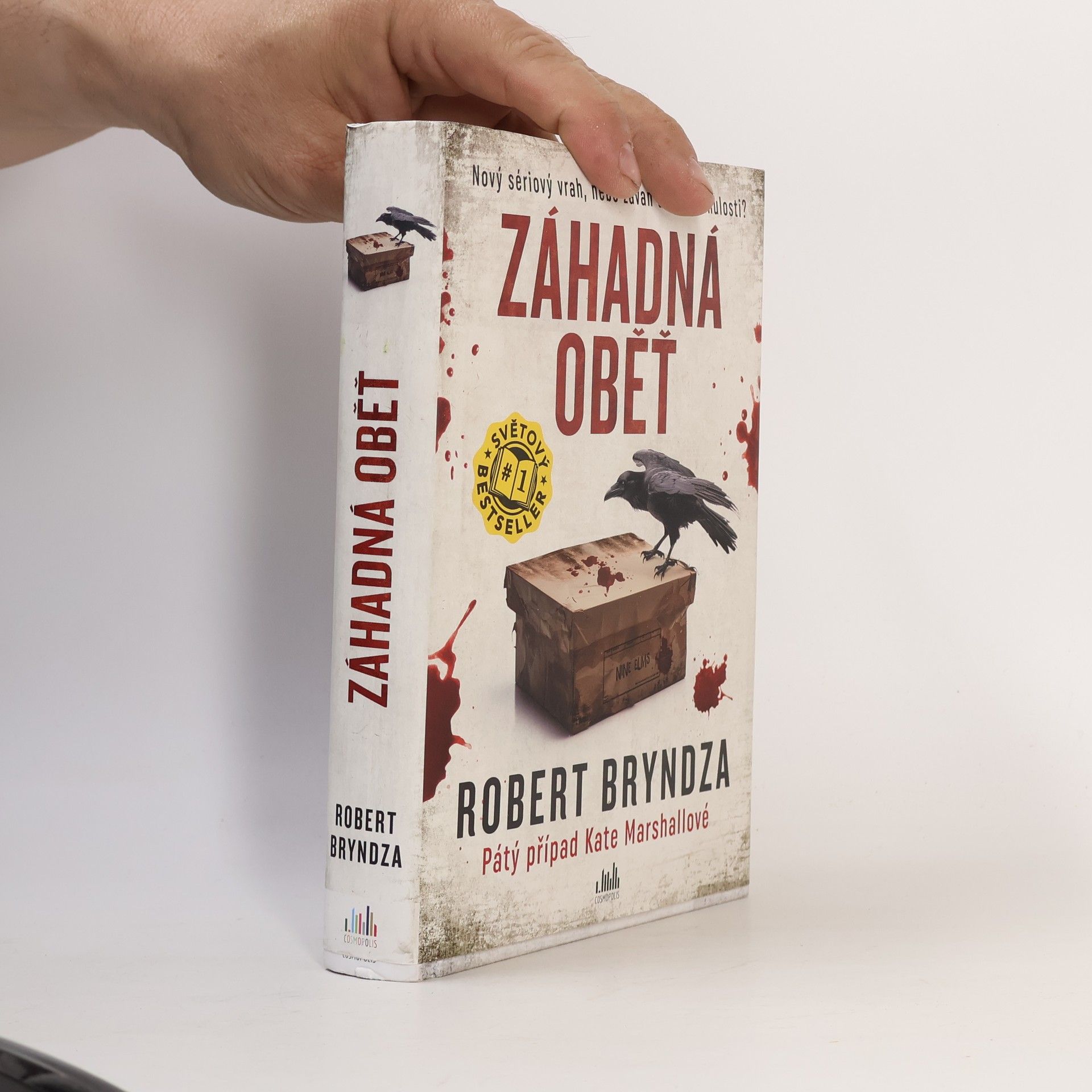 Robert Bryndza Záhadná oběť