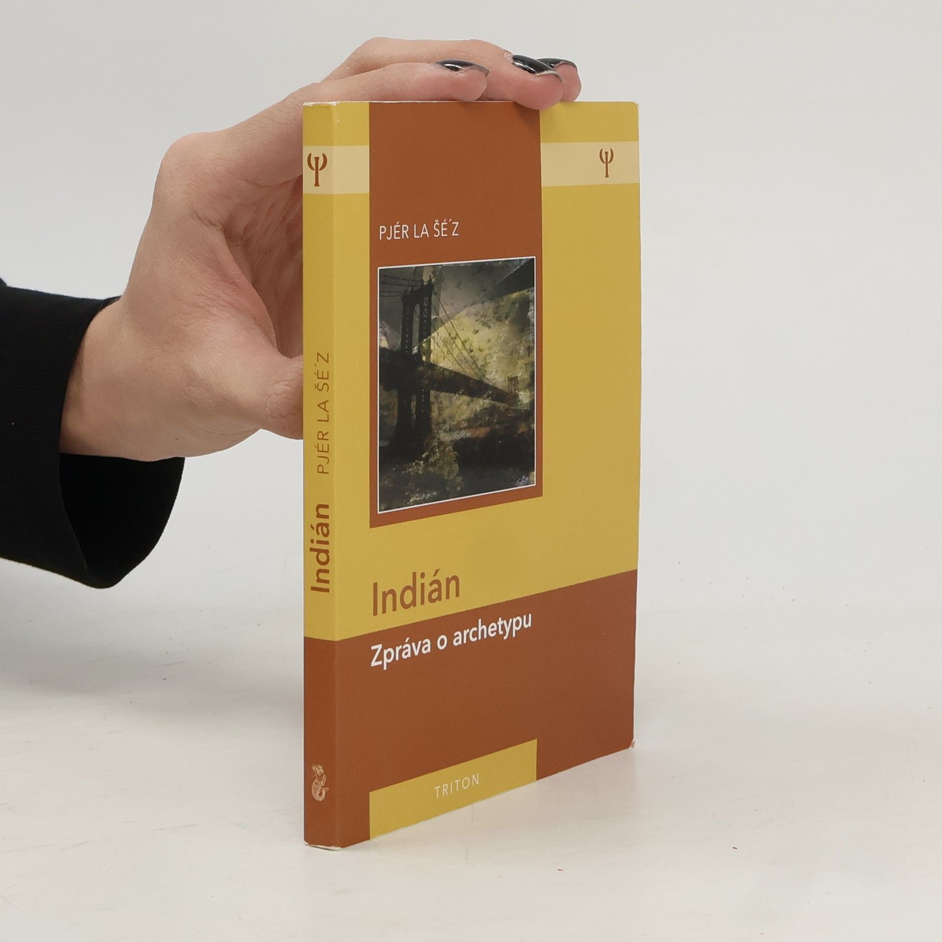 Pjér la Šéz Indián: Zpráva o archetypu