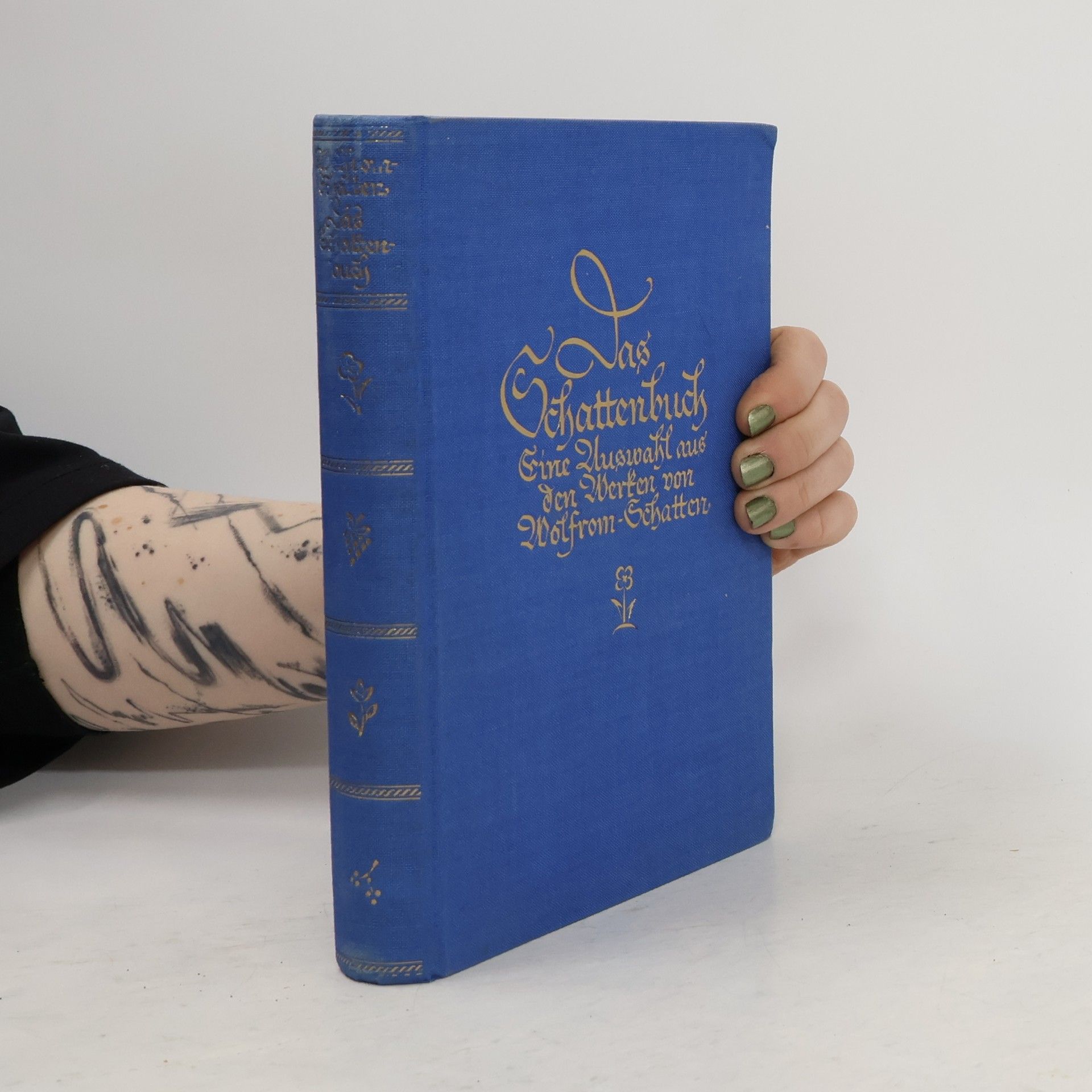 Fritz Wolfrom-Schatten Das Schattenbuch