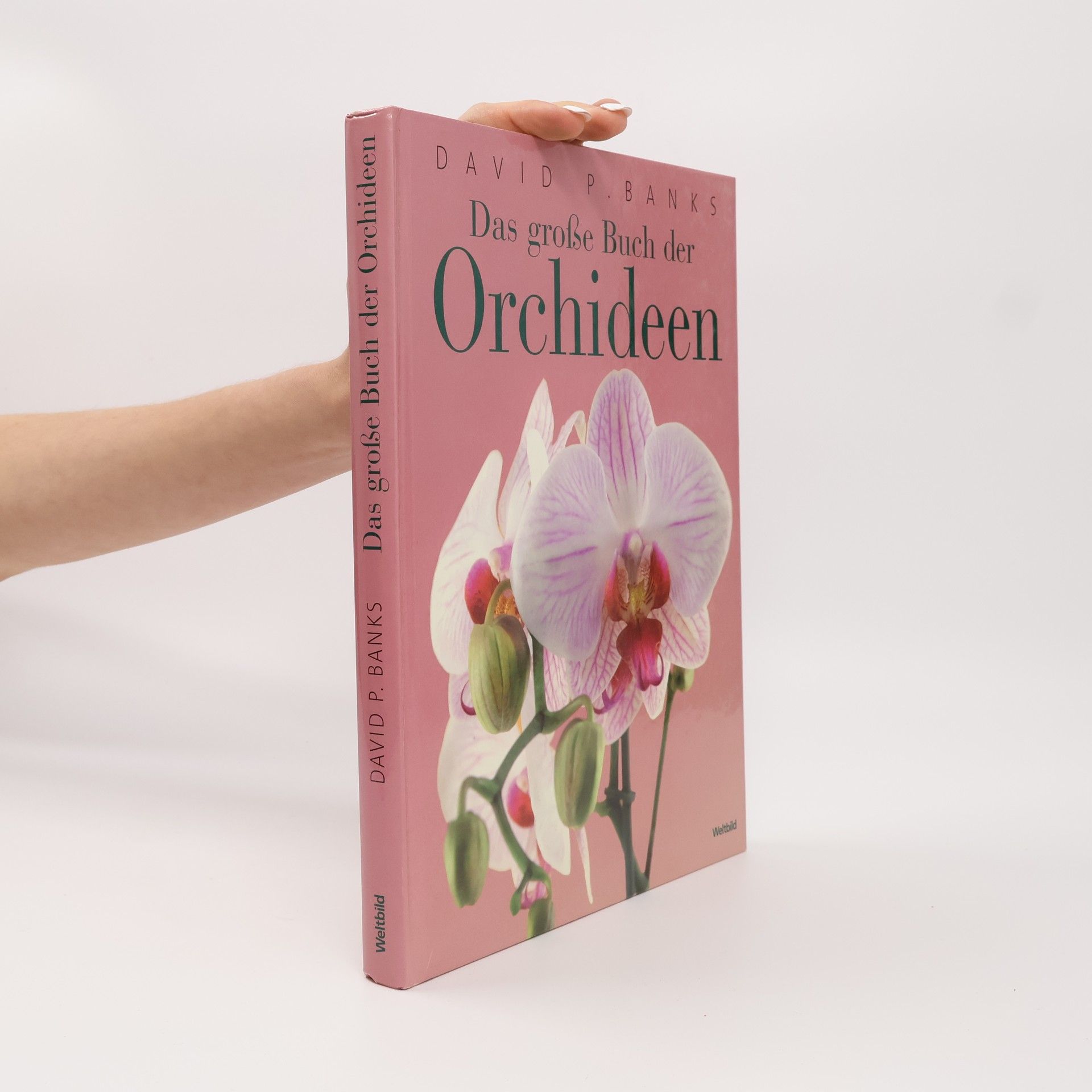 David Banks Das große Buch der Orchideen
