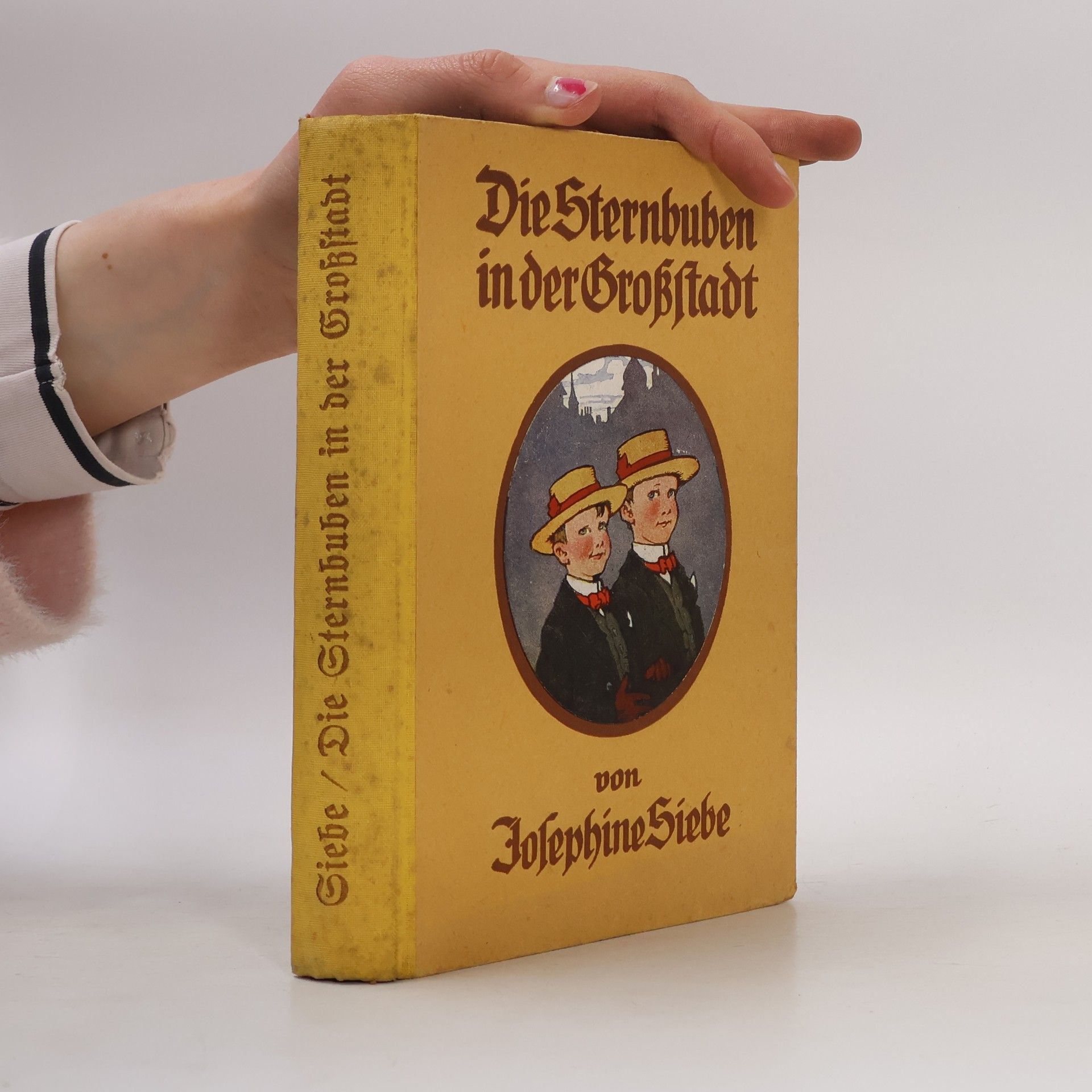 Die Sternbuben in der Grossstadt : Eine heitere Geschichte