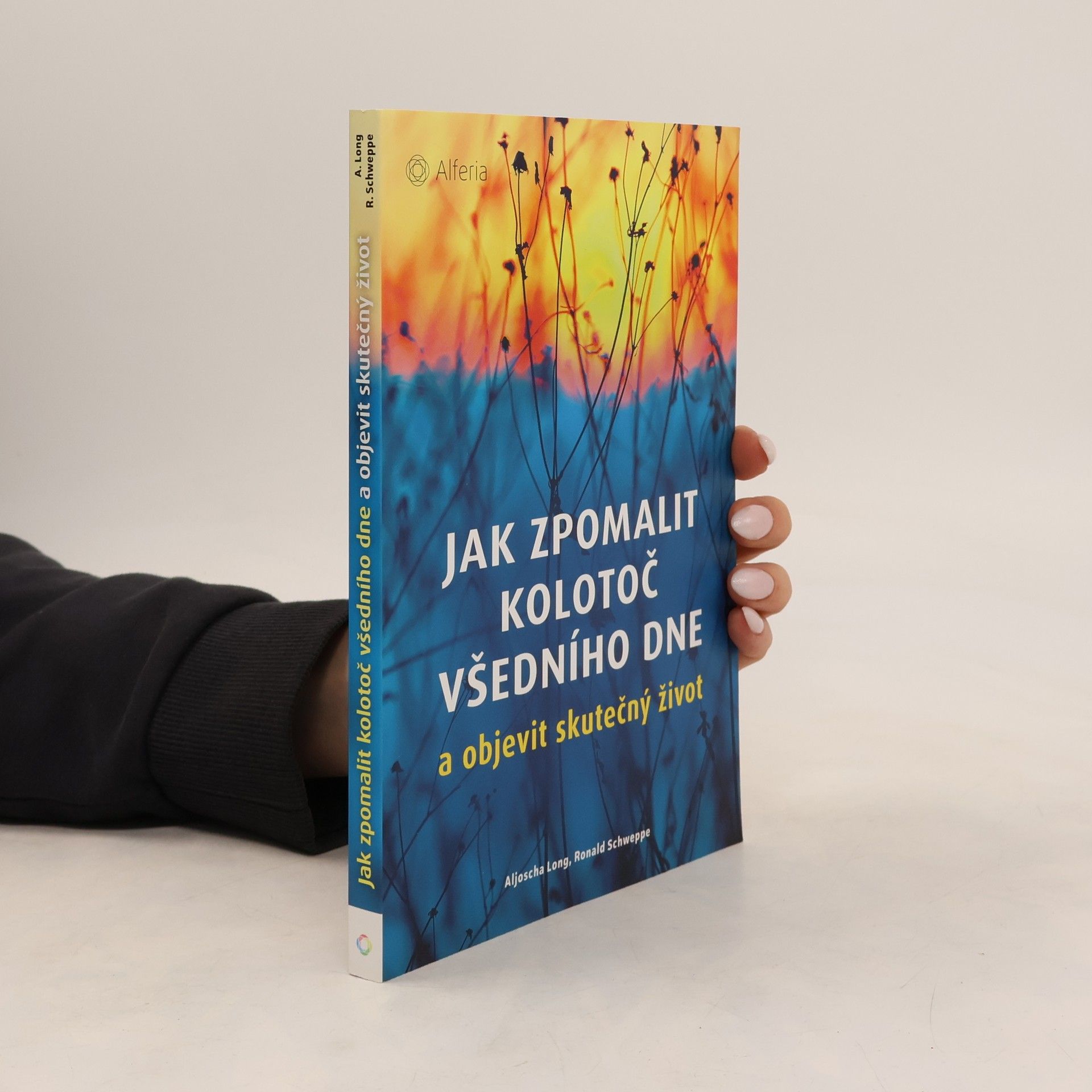 Ronald P. Schweppe Jak zpomalit kolotoč všedního dne a objevit skutečný život