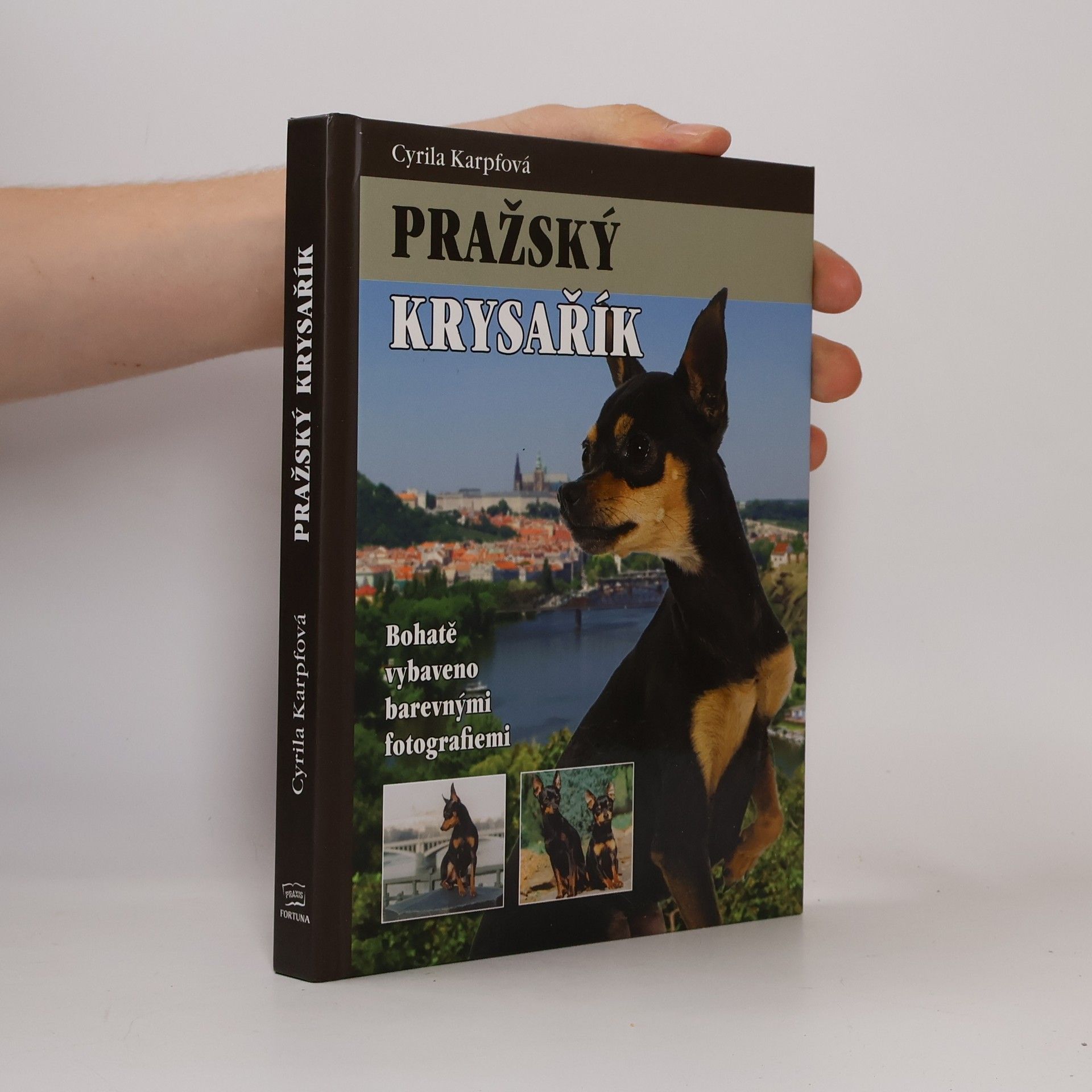 Cyrila Karpfová Pražský krysařík