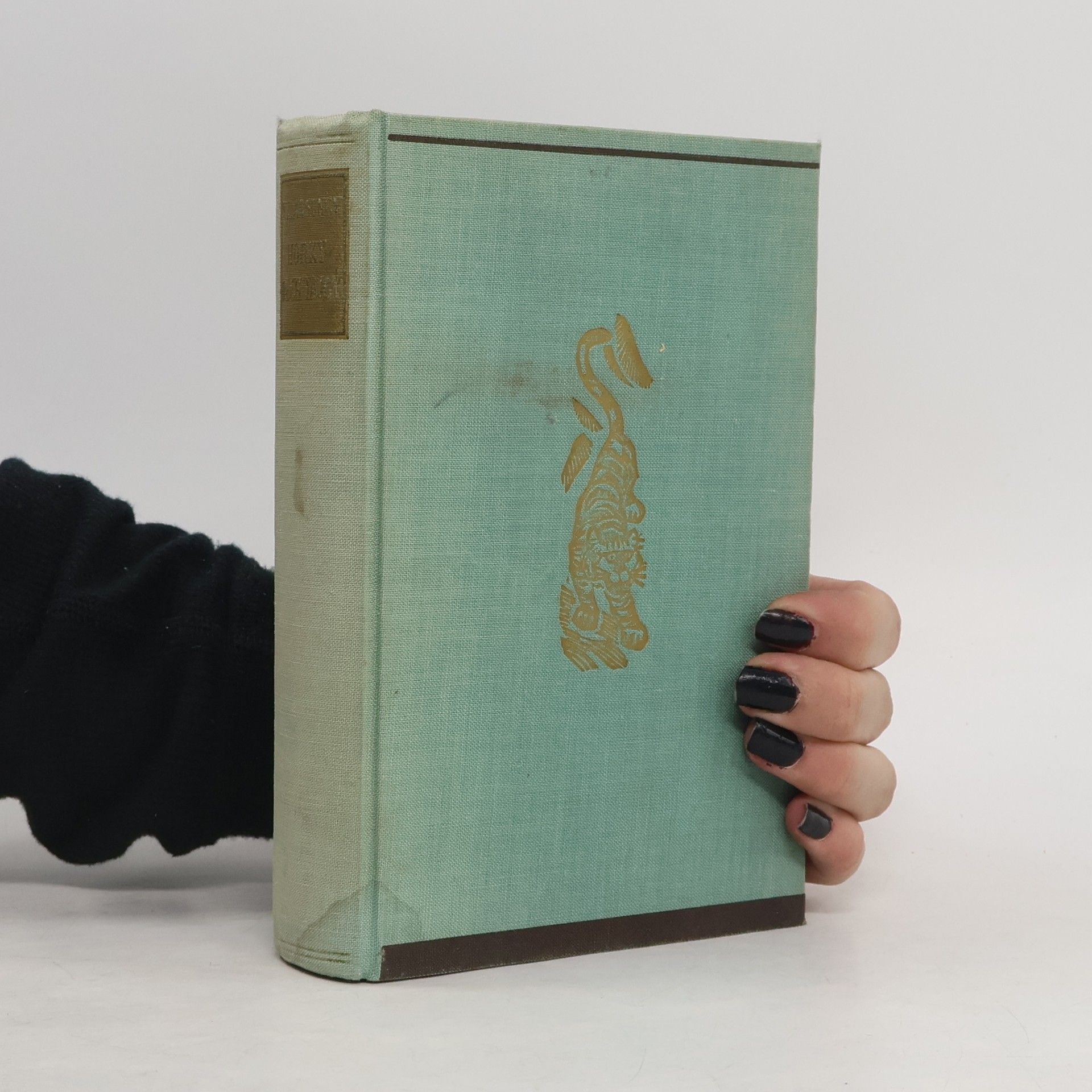 Vladimír Klavdijevič Arseněv Horký dech tajgy